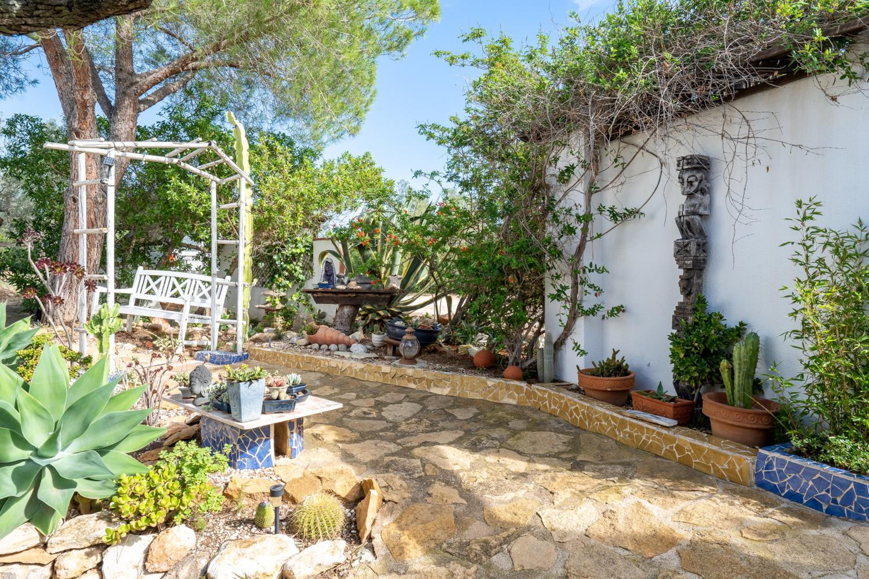Casa Arbol