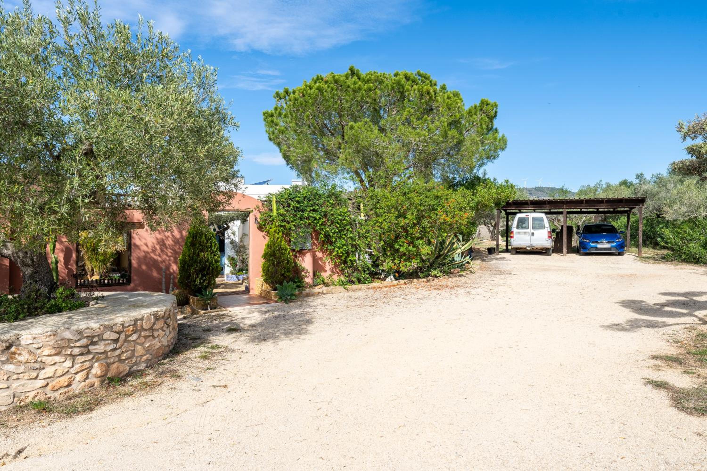 Casa Arbol