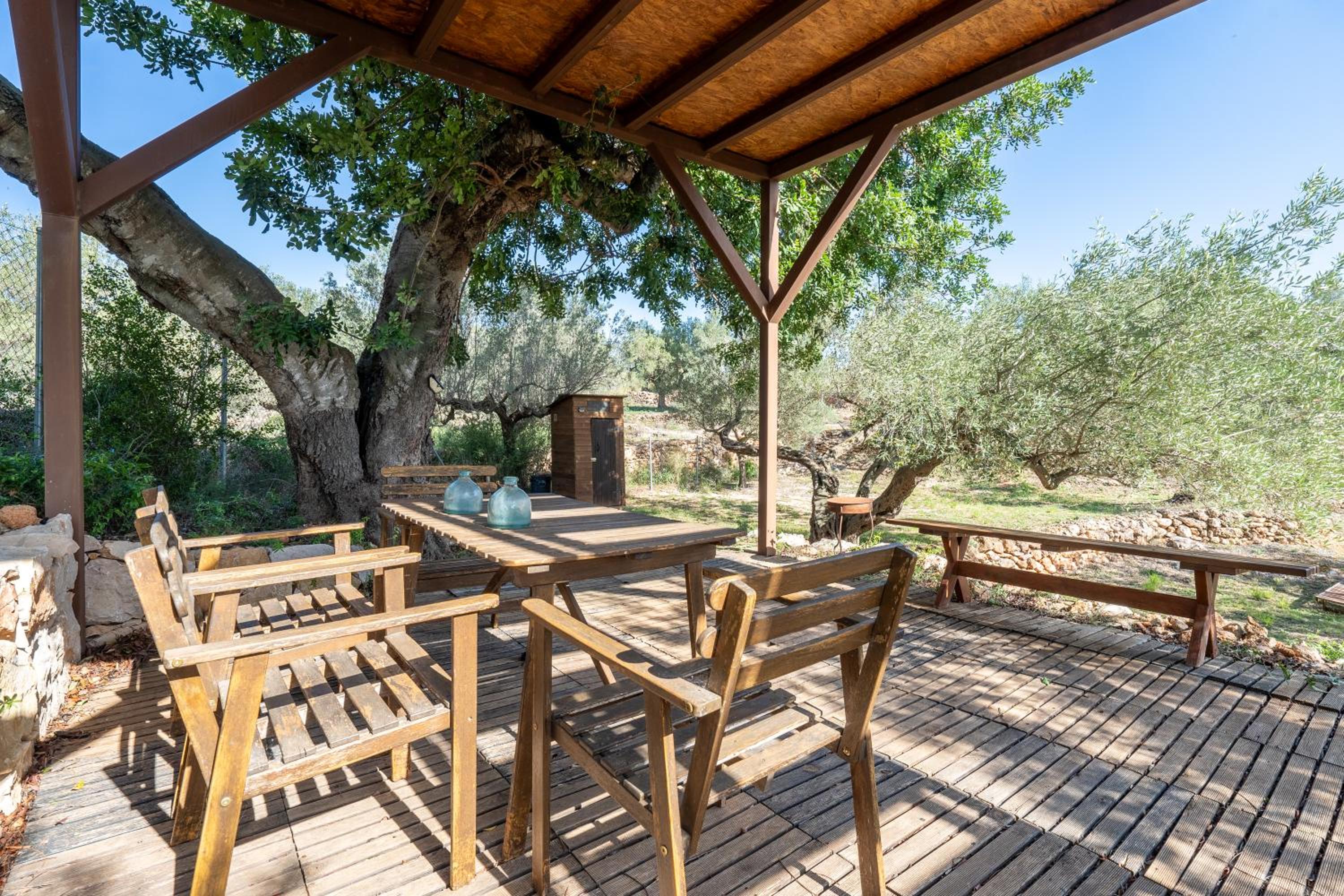 Casa Arbol