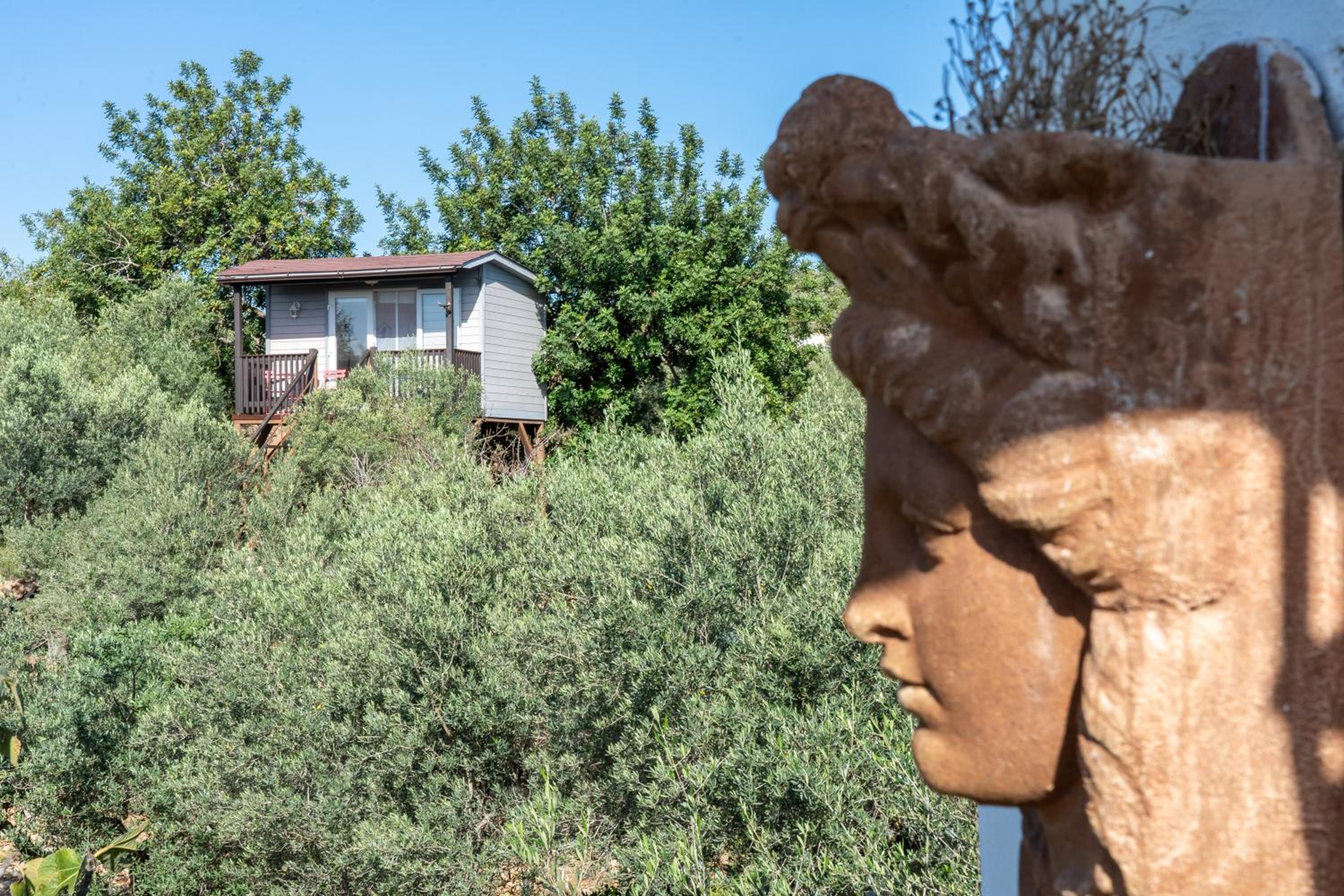 Casa Arbol
