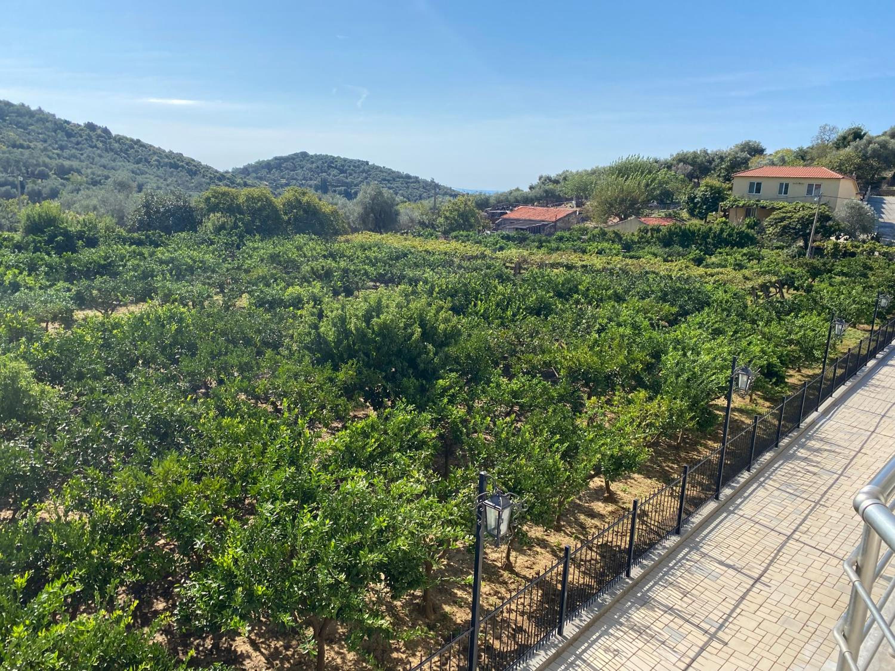 PRINCESS - Valdanos view 4