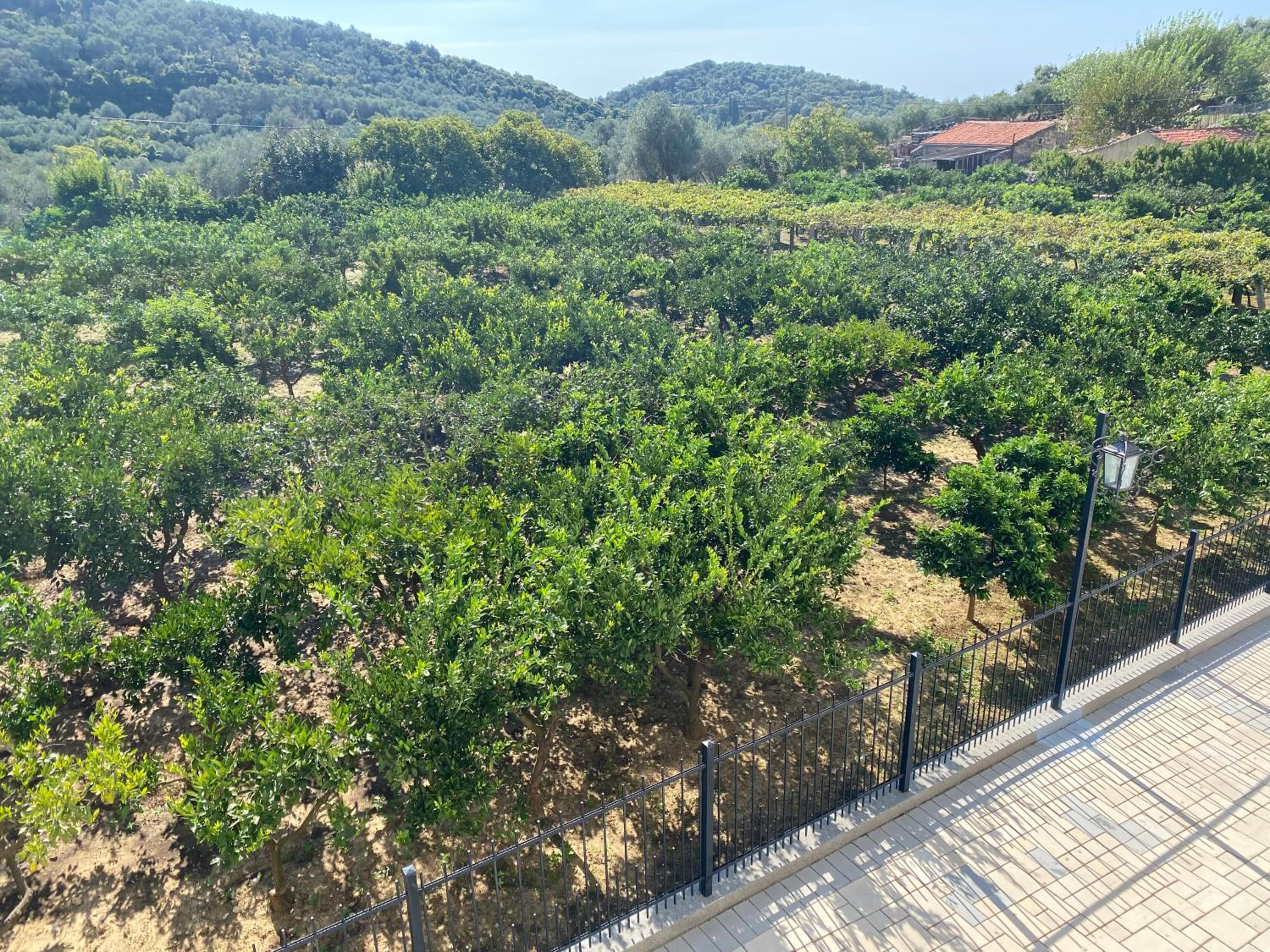 PRINCESS - Valdanos view 2