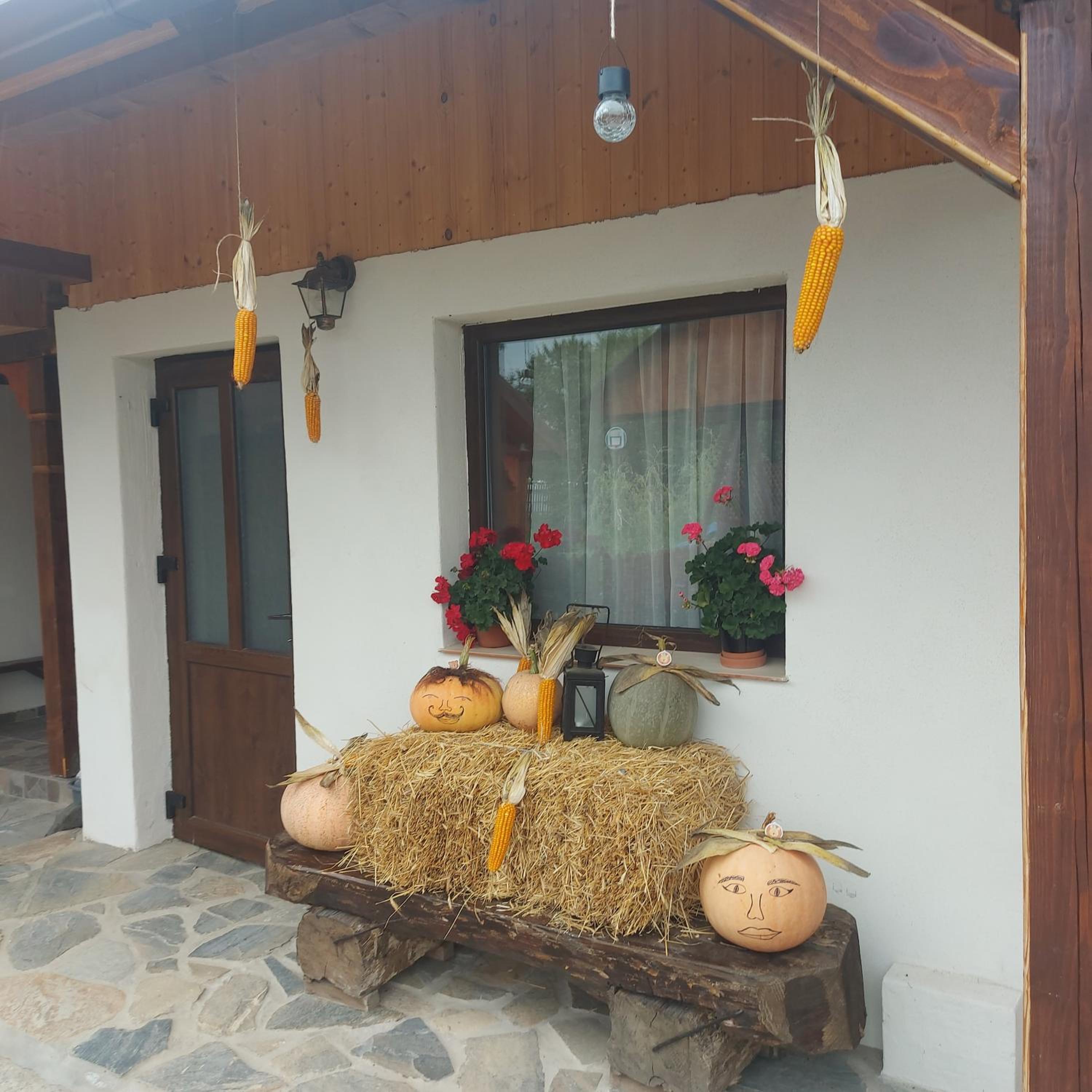 Cabana Lunca view 2