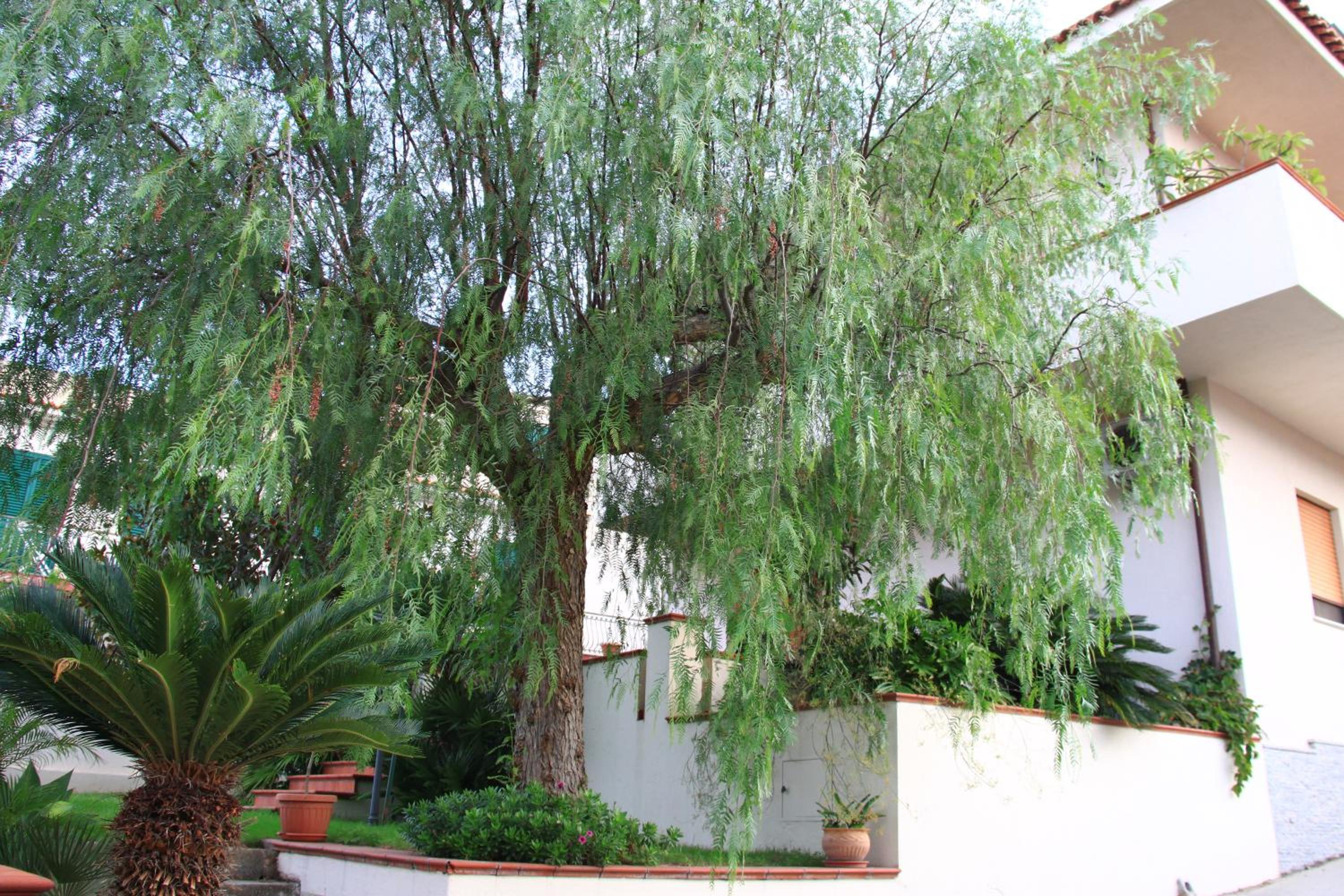 B&B La Piccola Oasi