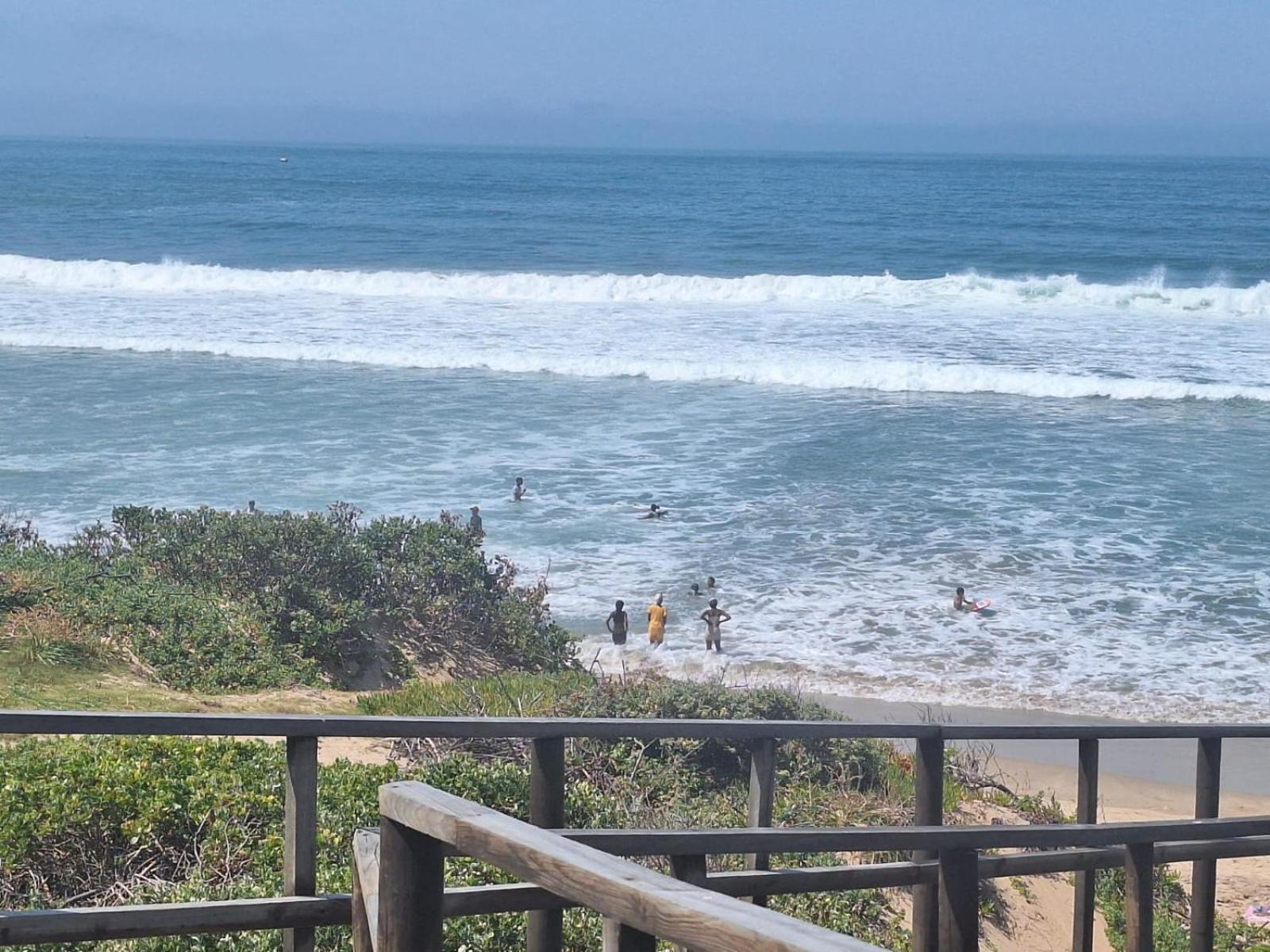 Pansy Cove