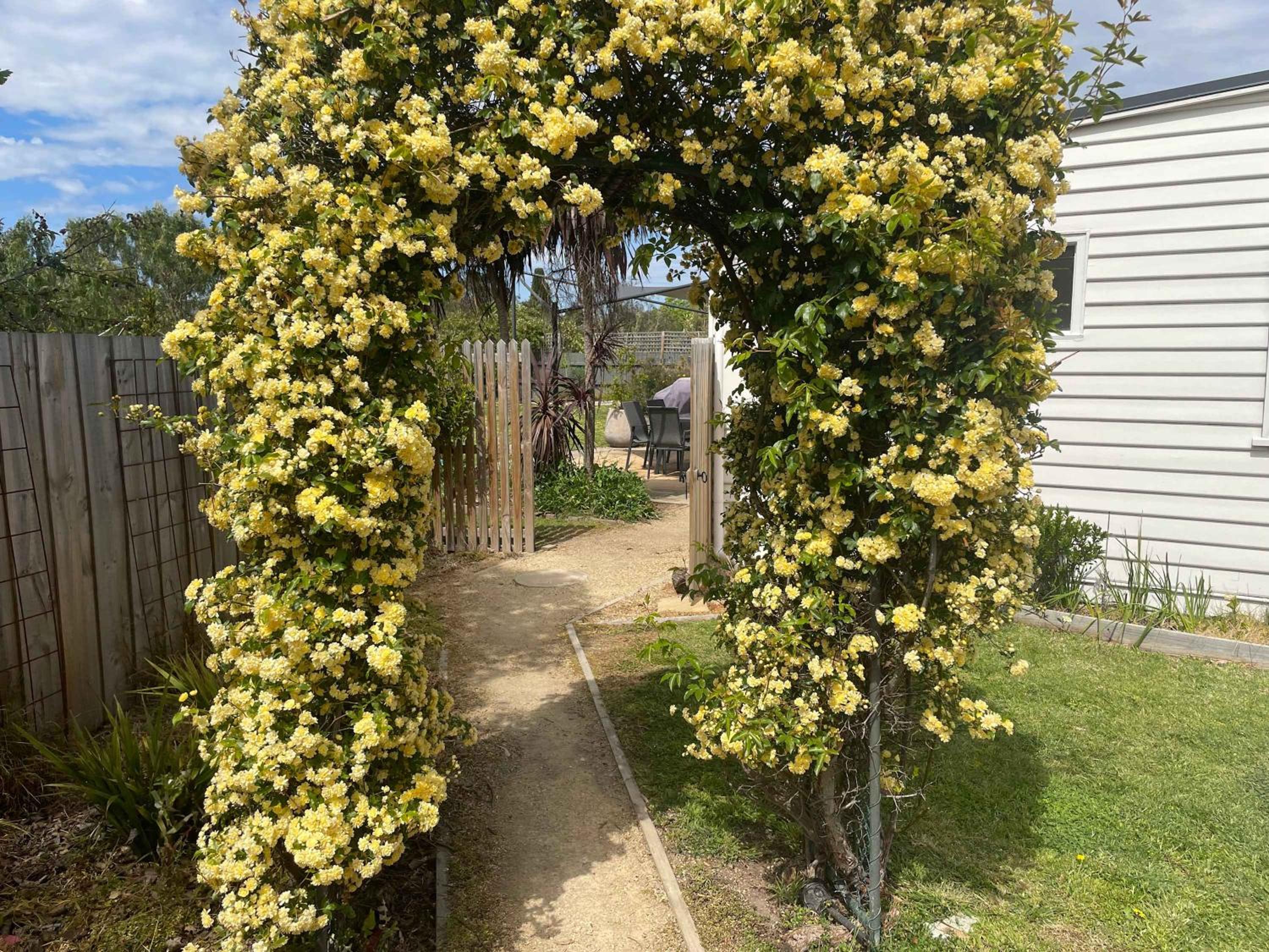 The Baker's Cottage in the Heart of Richmond Sleeps 6