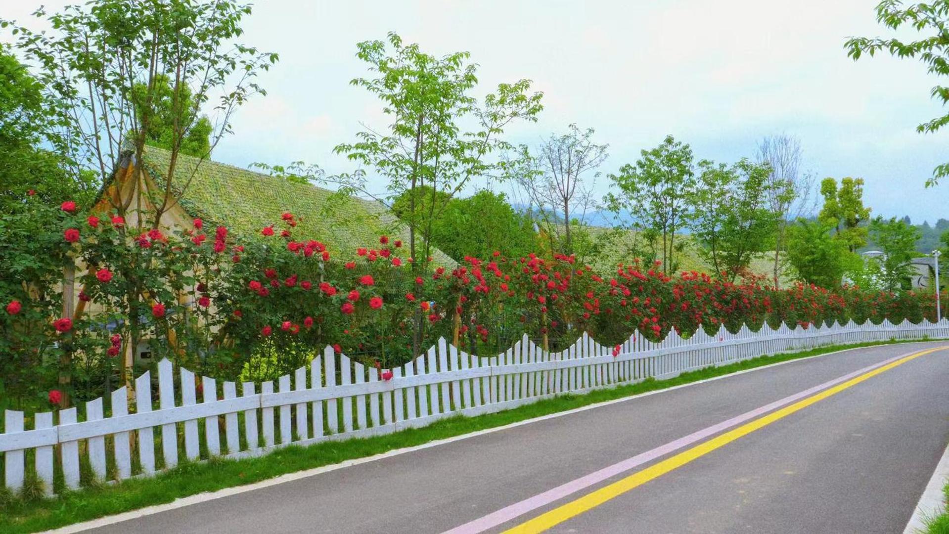 Zhangjiajie Cliff Flower RV Tent Hotel
