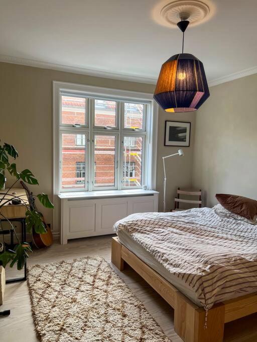 Cozy apt in central Vesterbro