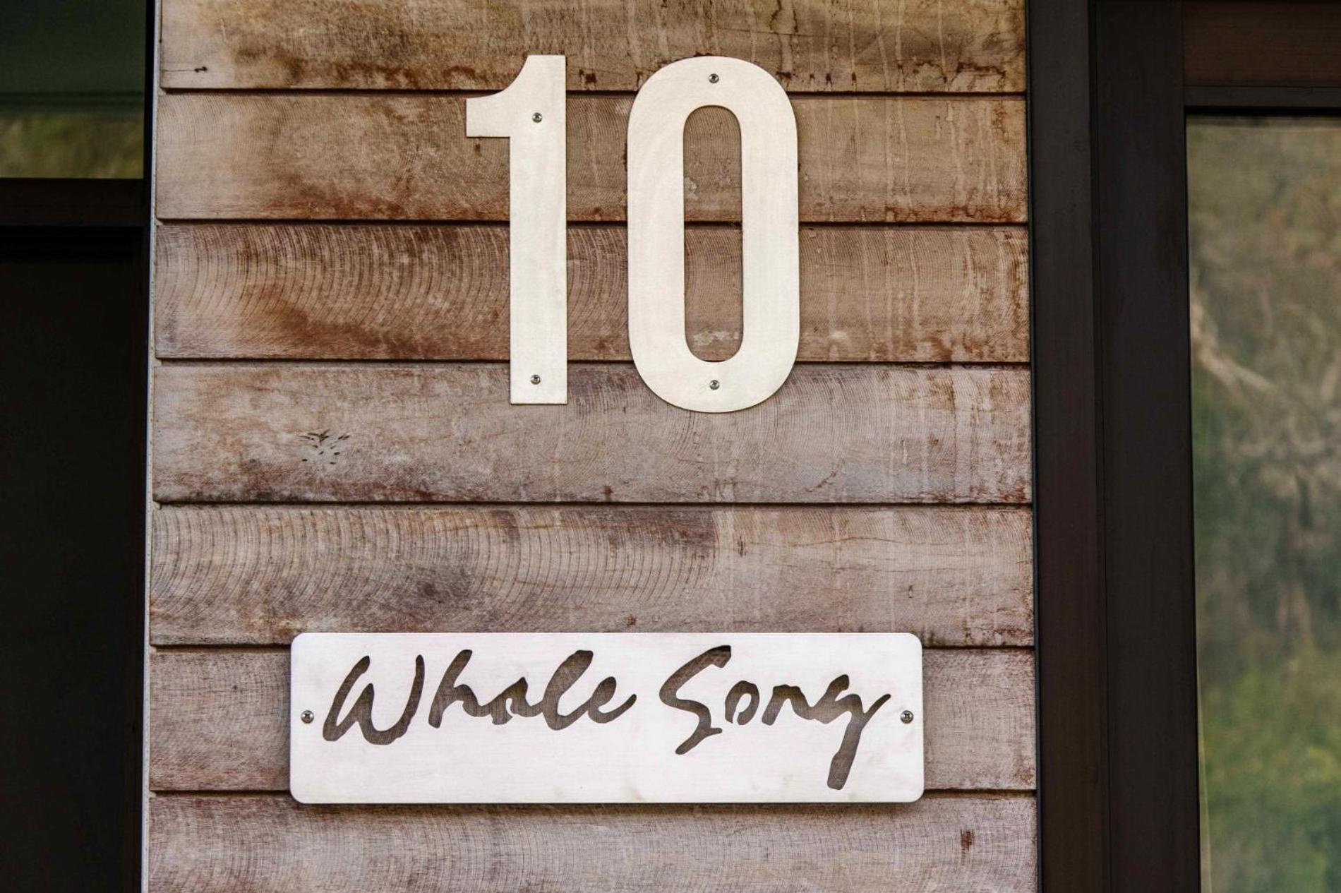 Welcome to Whale Song