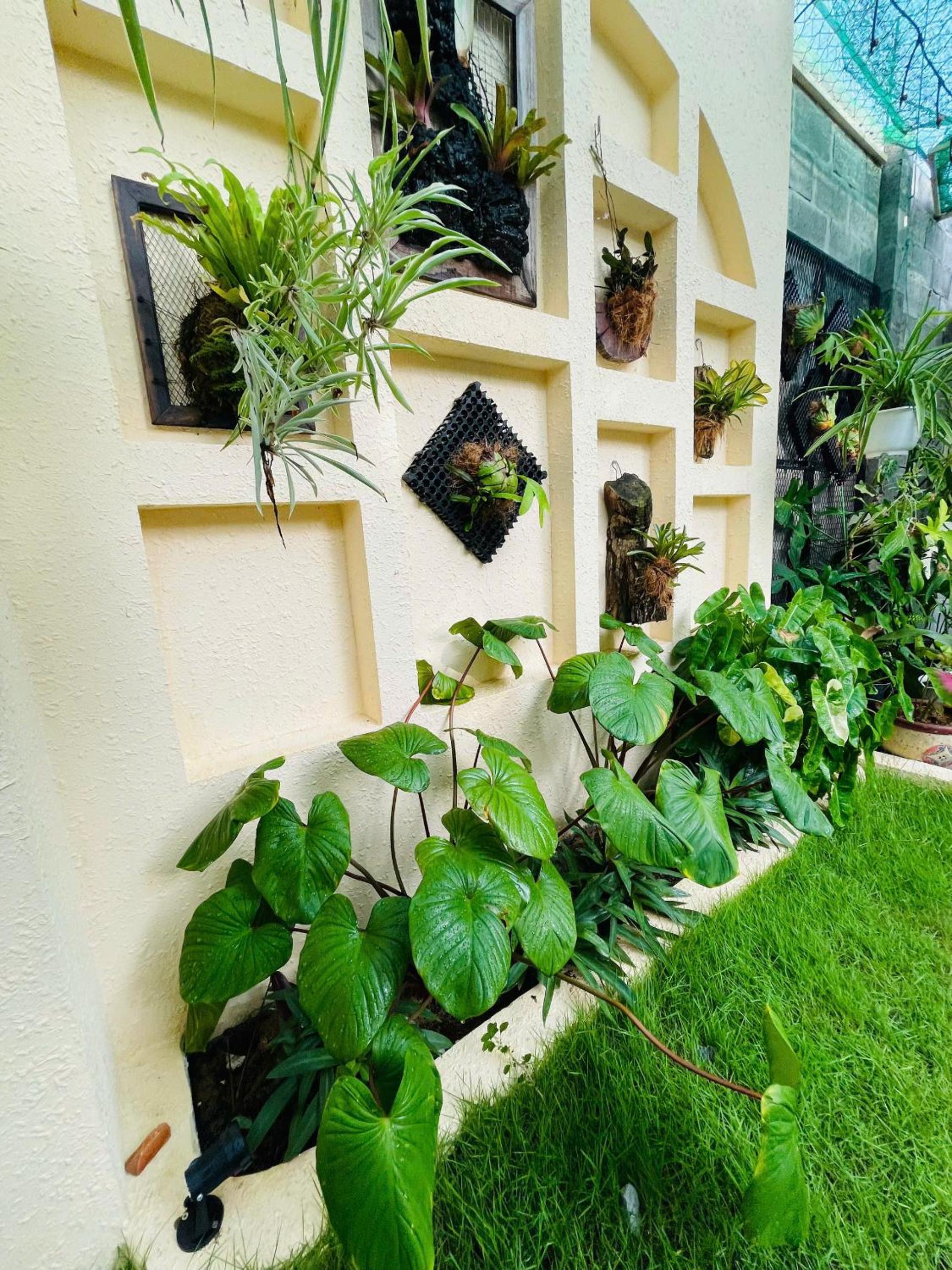 Cá Homestay Mũi Né