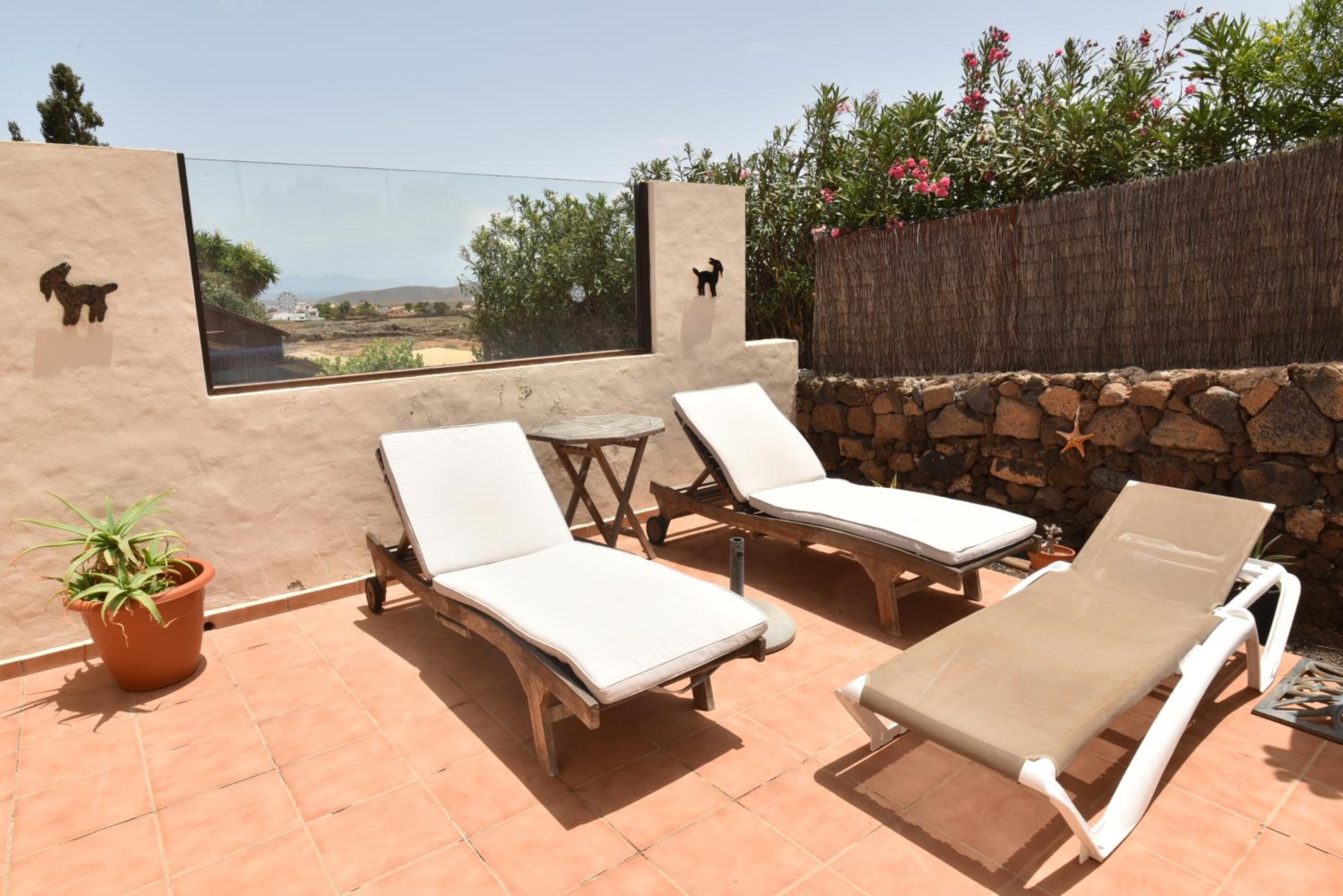 Doce Palmeras, stunning villa in beautiful gardens