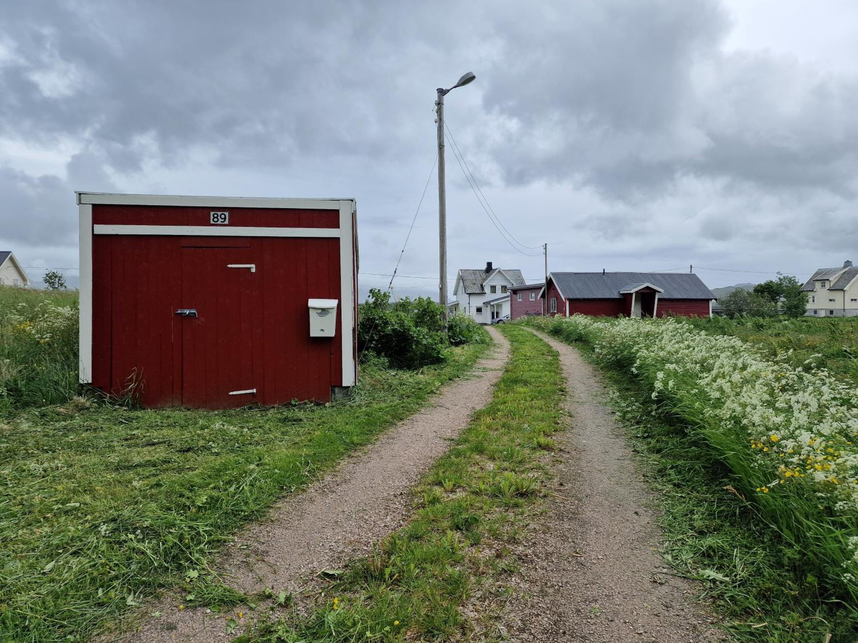 Photo 41