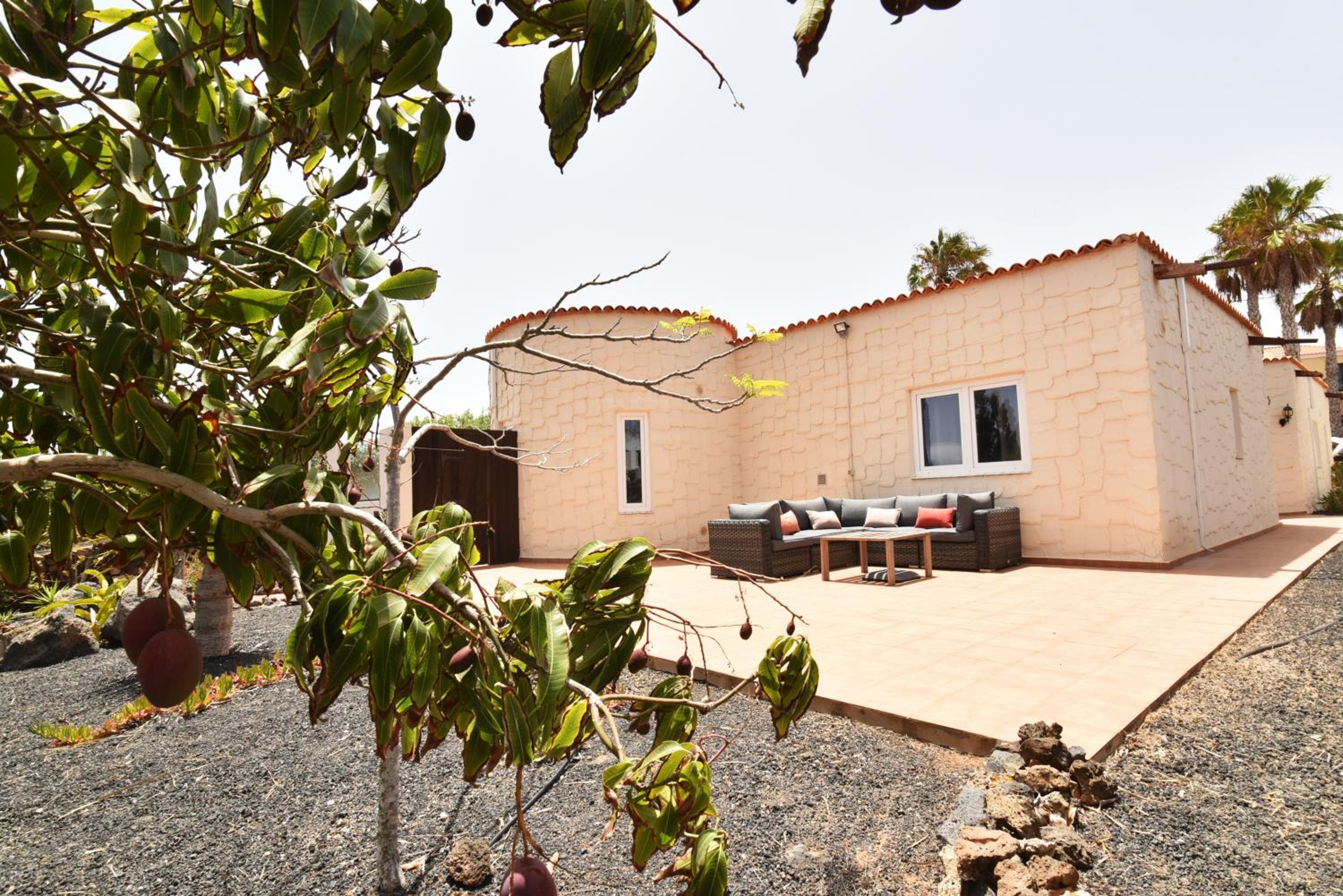 Doce Palmeras, stunning villa in beautiful gardens
