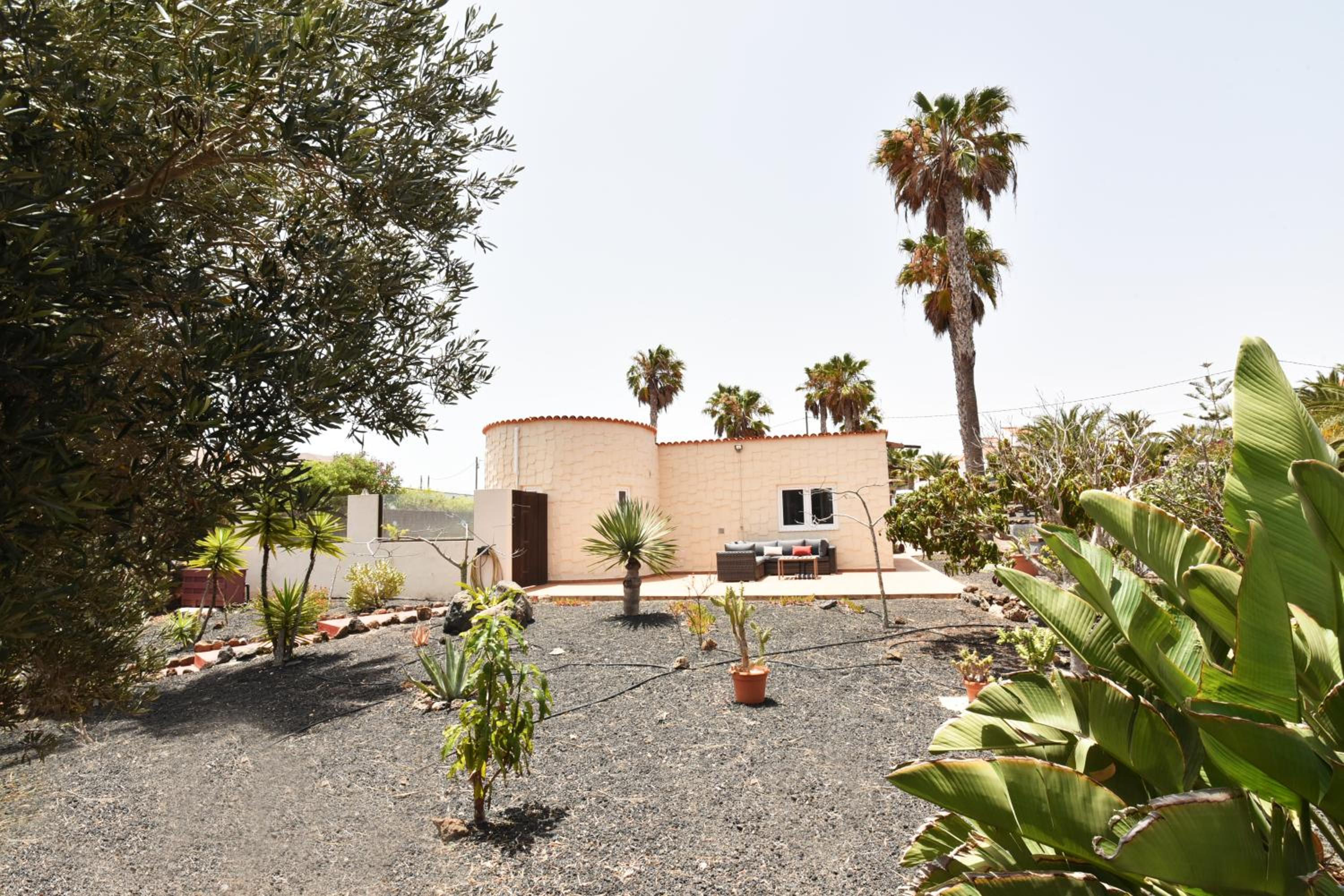 Doce Palmeras, stunning villa in beautiful gardens
