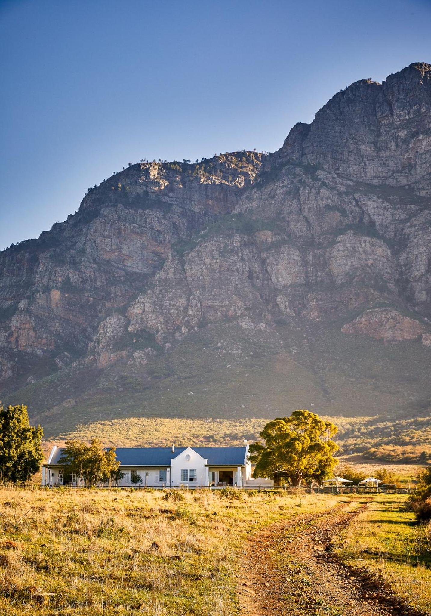 Boschendal Farm Estate view 5