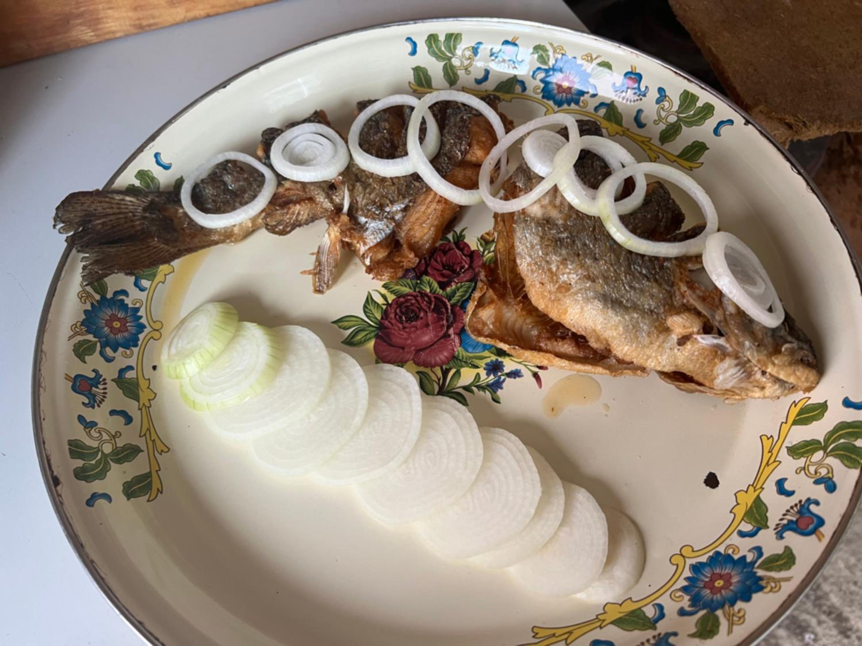 FOREL FISH GUEST HOUSe view 4