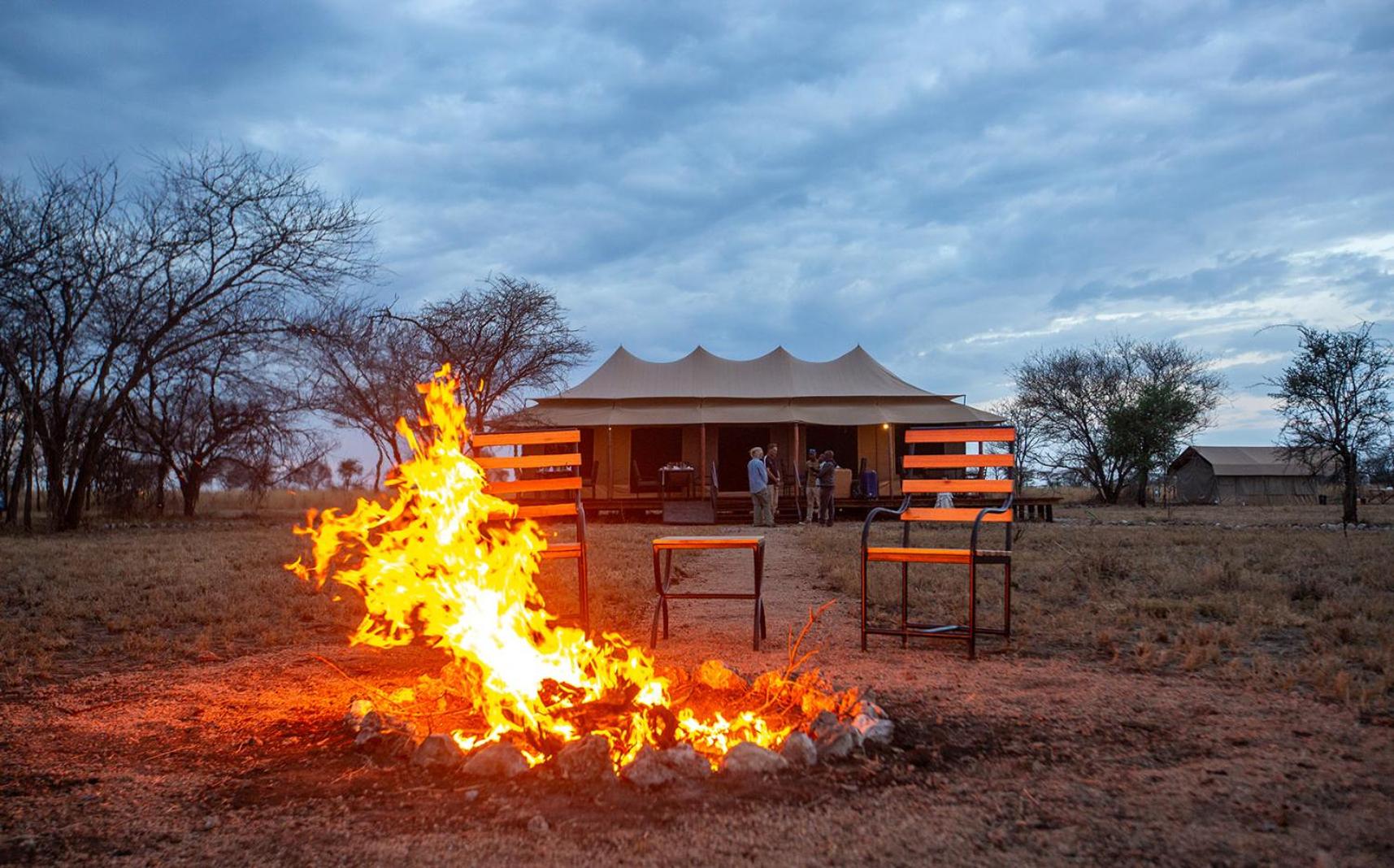 Serengeti National Park Vacations - House Of Nature Serengeti - Property Image 8