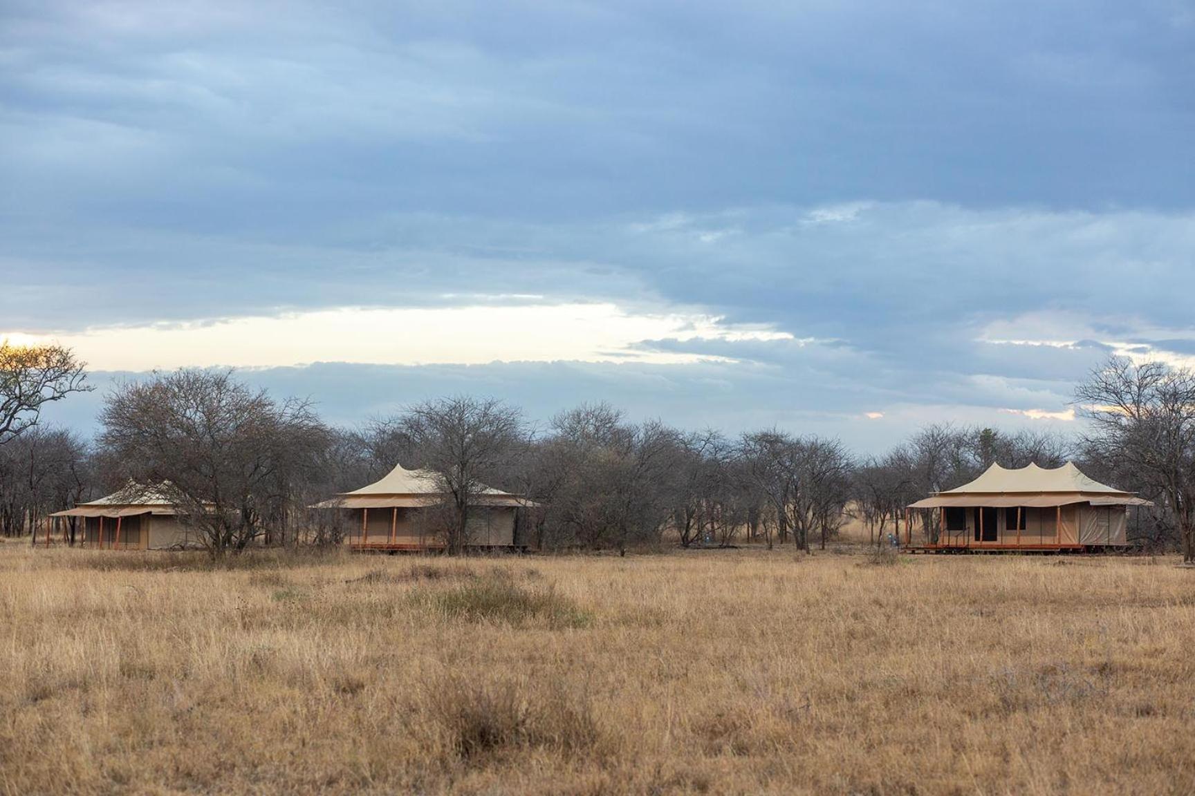 Serengeti National Park Vacations - House Of Nature Serengeti - Property Image 6