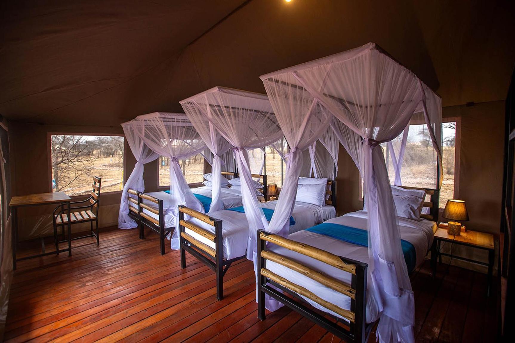 Serengeti National Park Vacations - House Of Nature Serengeti - Property Image 7