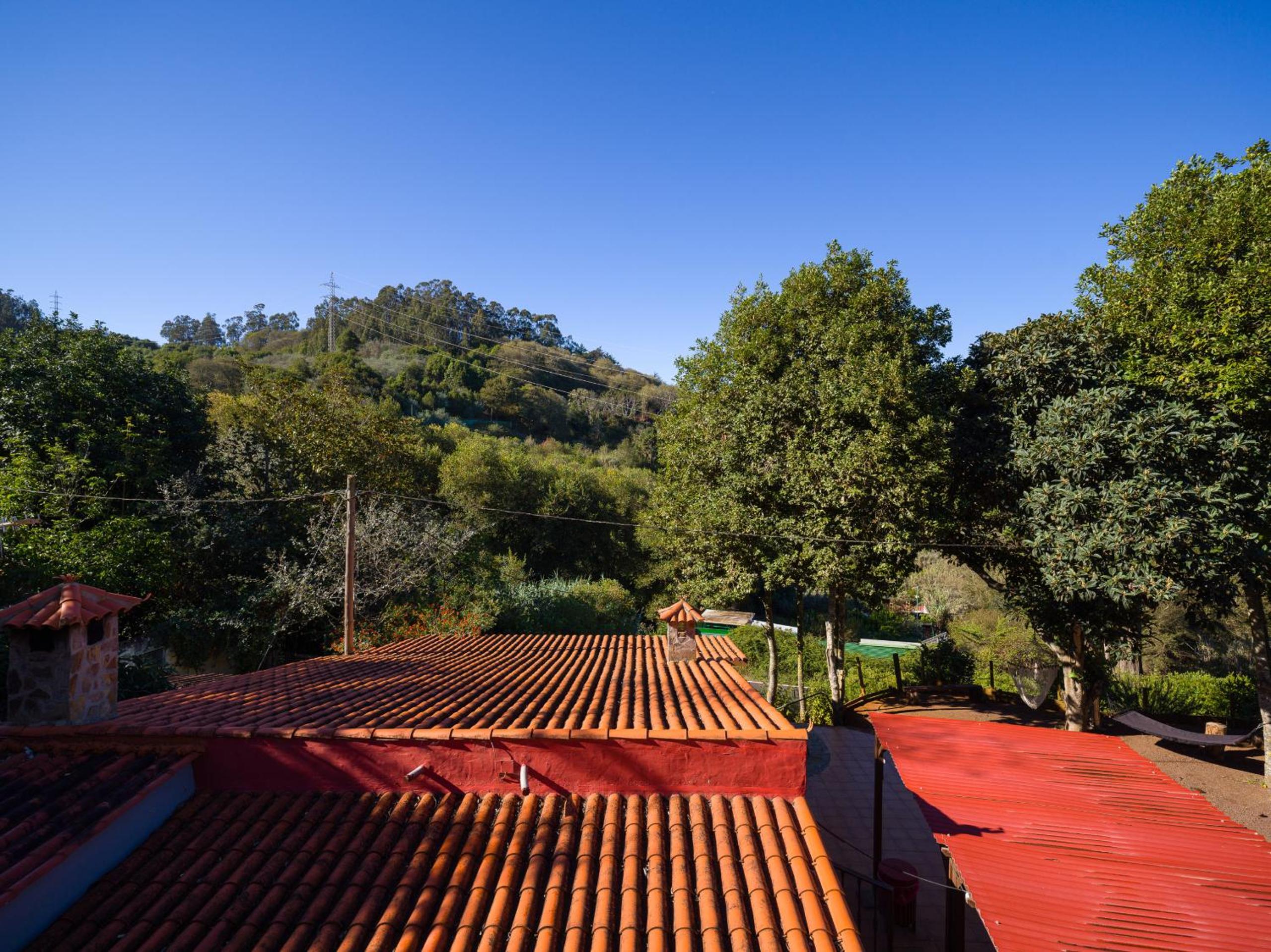 Sombra del Laurel