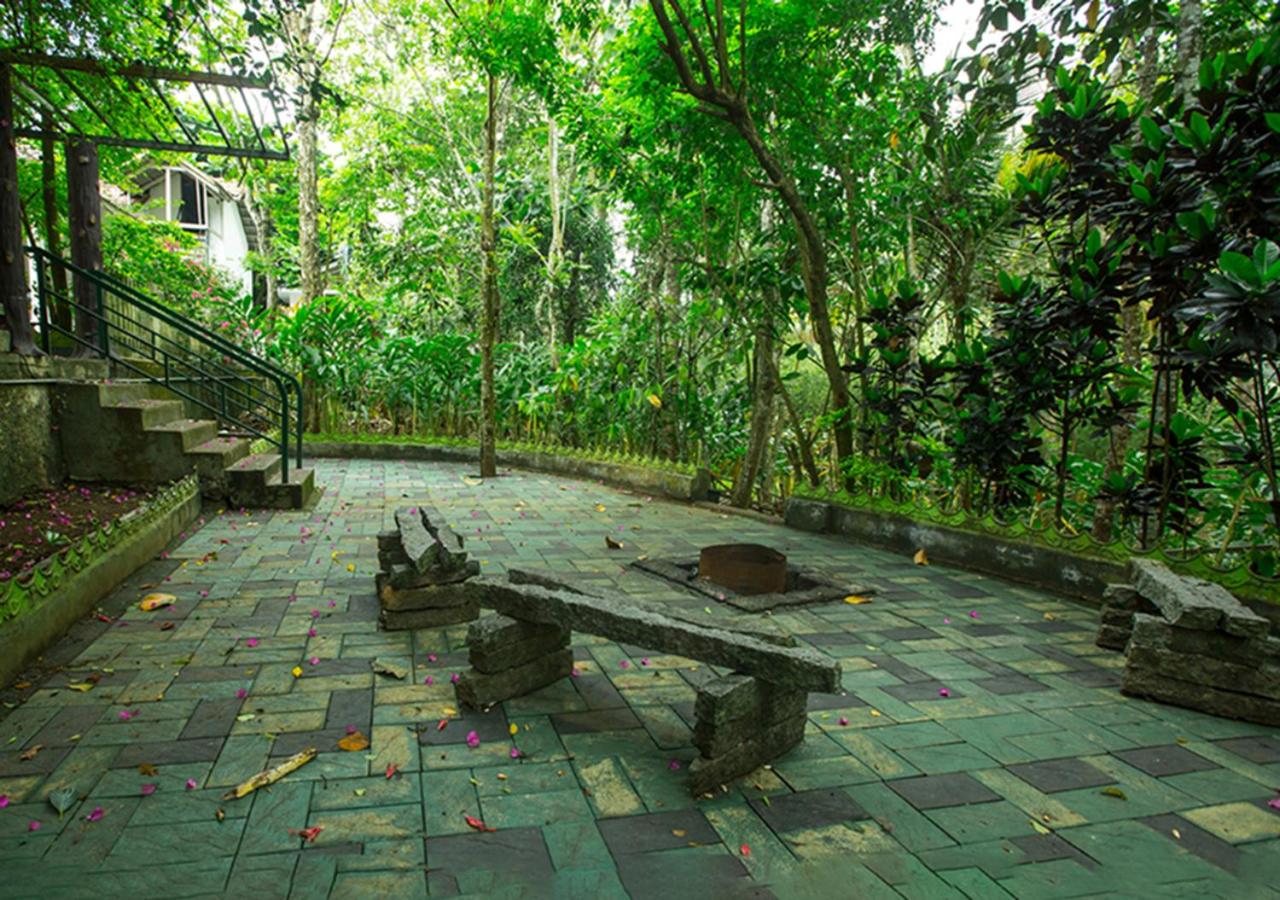 Spezia Private Plantation Bungalow Thekkady by VOYE HOMES