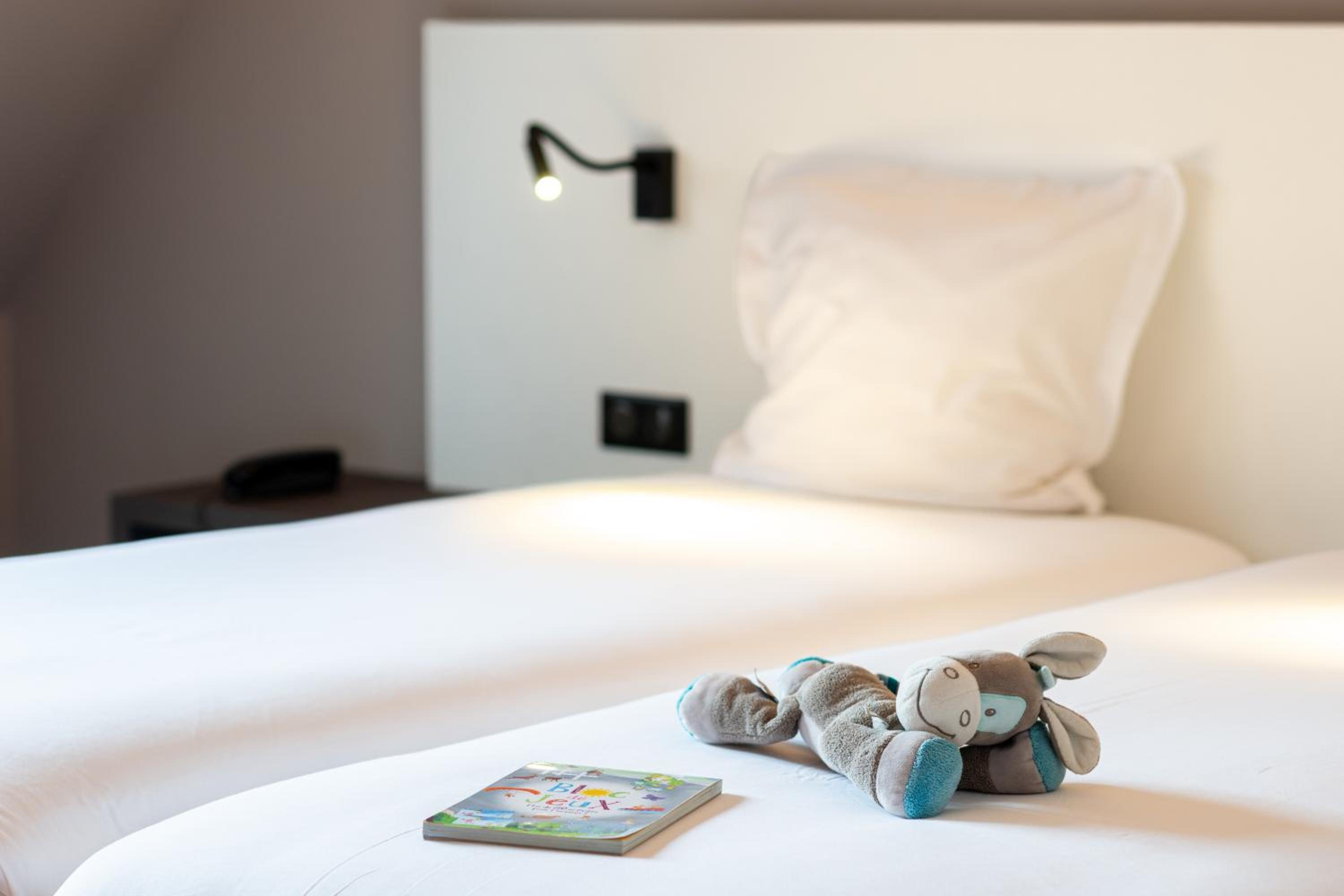 Colmar Vacations - Hotel L'Europe - Property Image 18