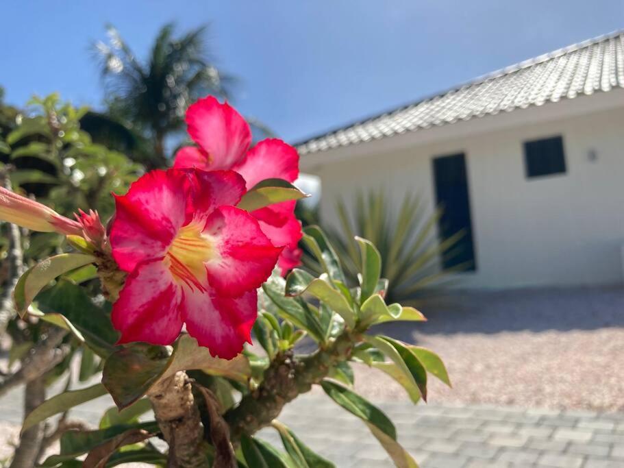 Luxe villa op Coral Estate 1 min lopen van zee
