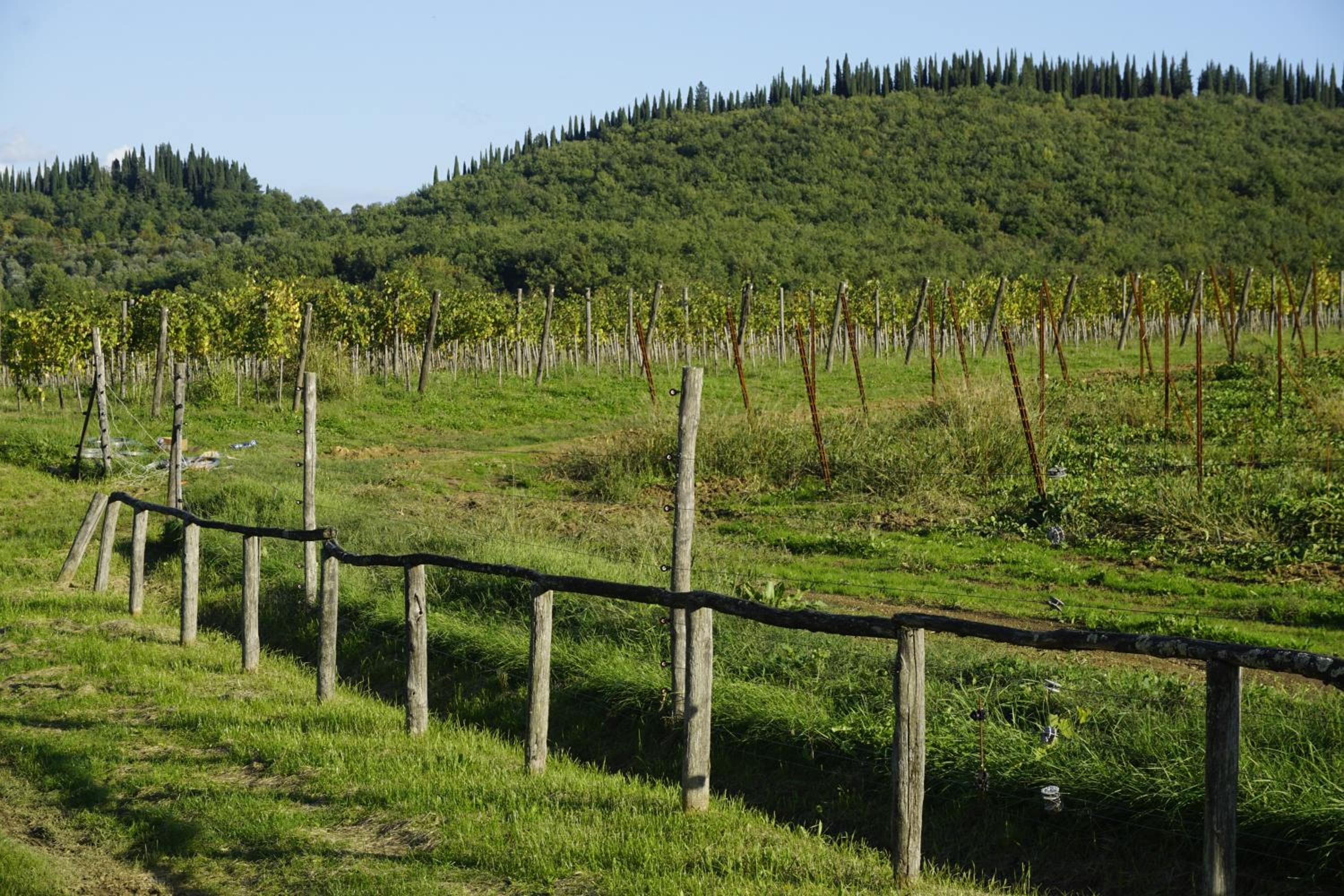 Appartamento indipendente sulle colline del Chianti a 30 kilometri da Firenze
