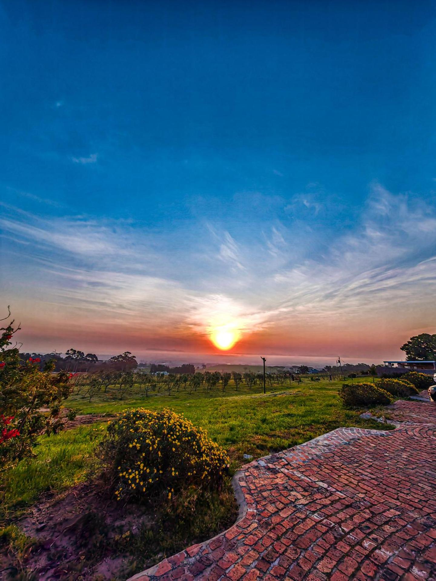 Capelands Wine Farm & Guesthouse