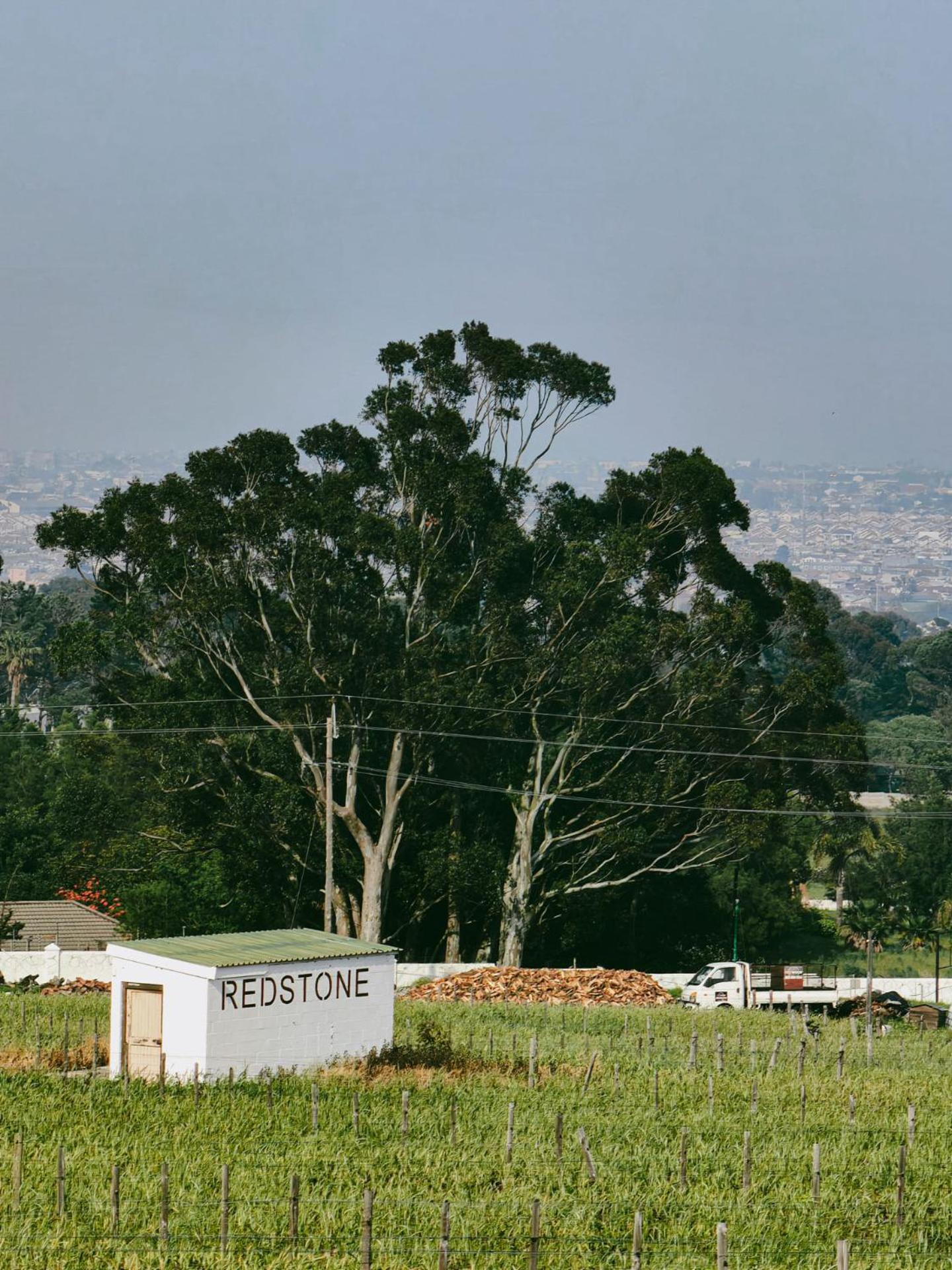 Capelands Wine Farm & Guesthouse