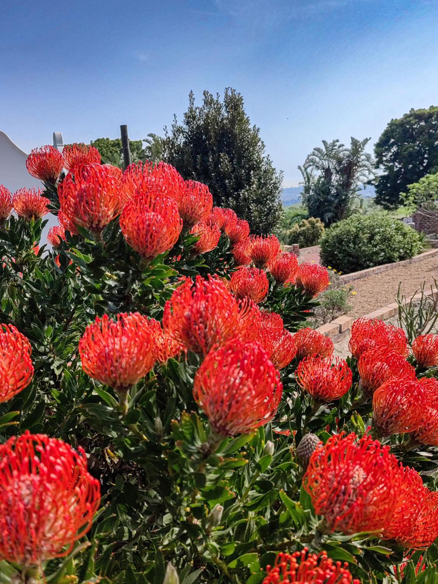 Capelands Wine Farm & Guesthouse