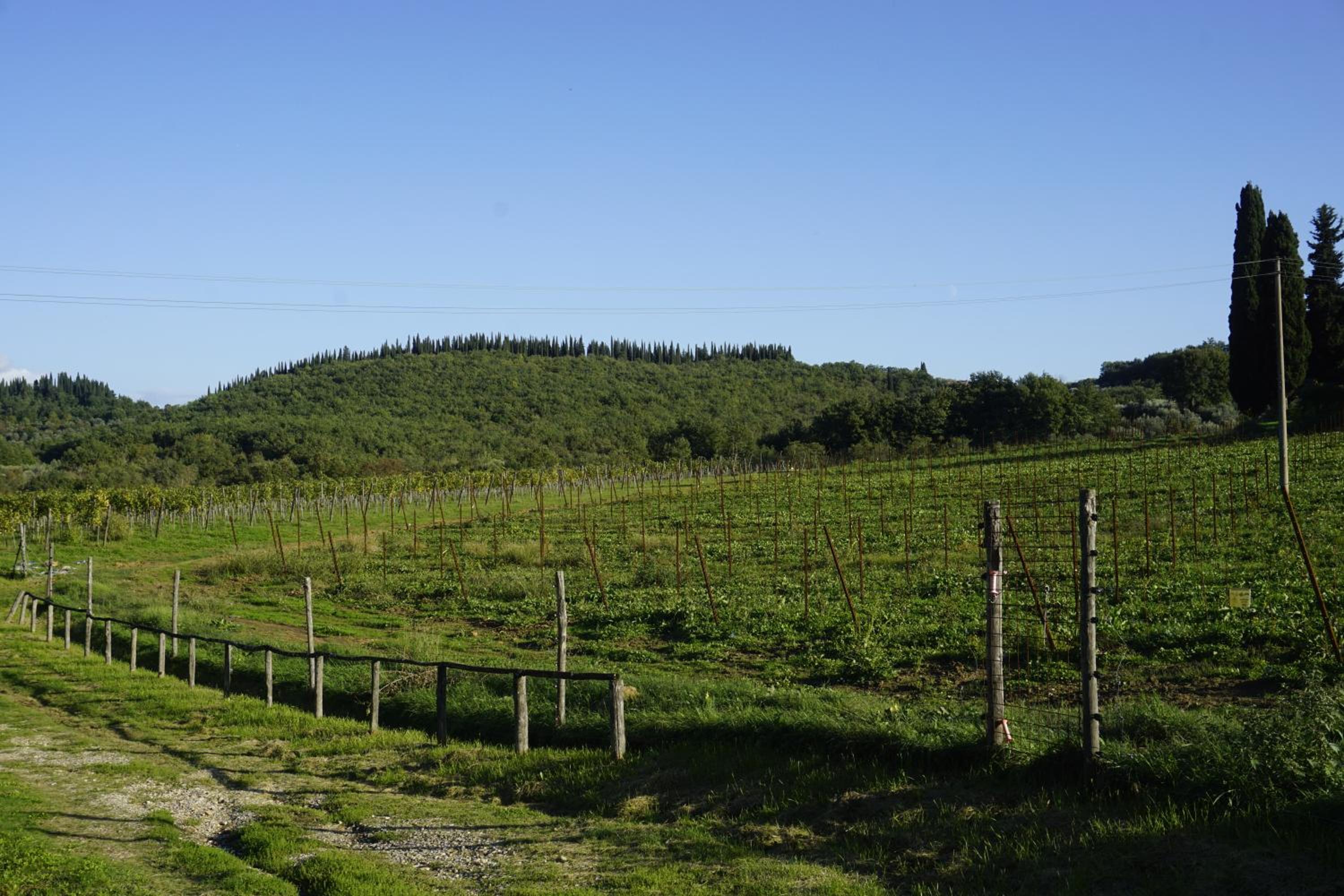 Appartamento indipendente sulle colline del Chianti a 30 kilometri da Firenze