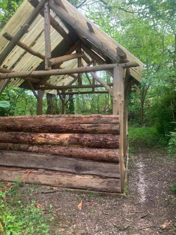 Ceridwen Glamping, double decker bus and Yurts