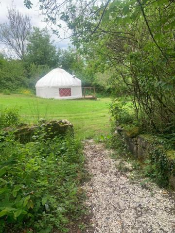 Ceridwen Glamping, double decker bus and Yurts