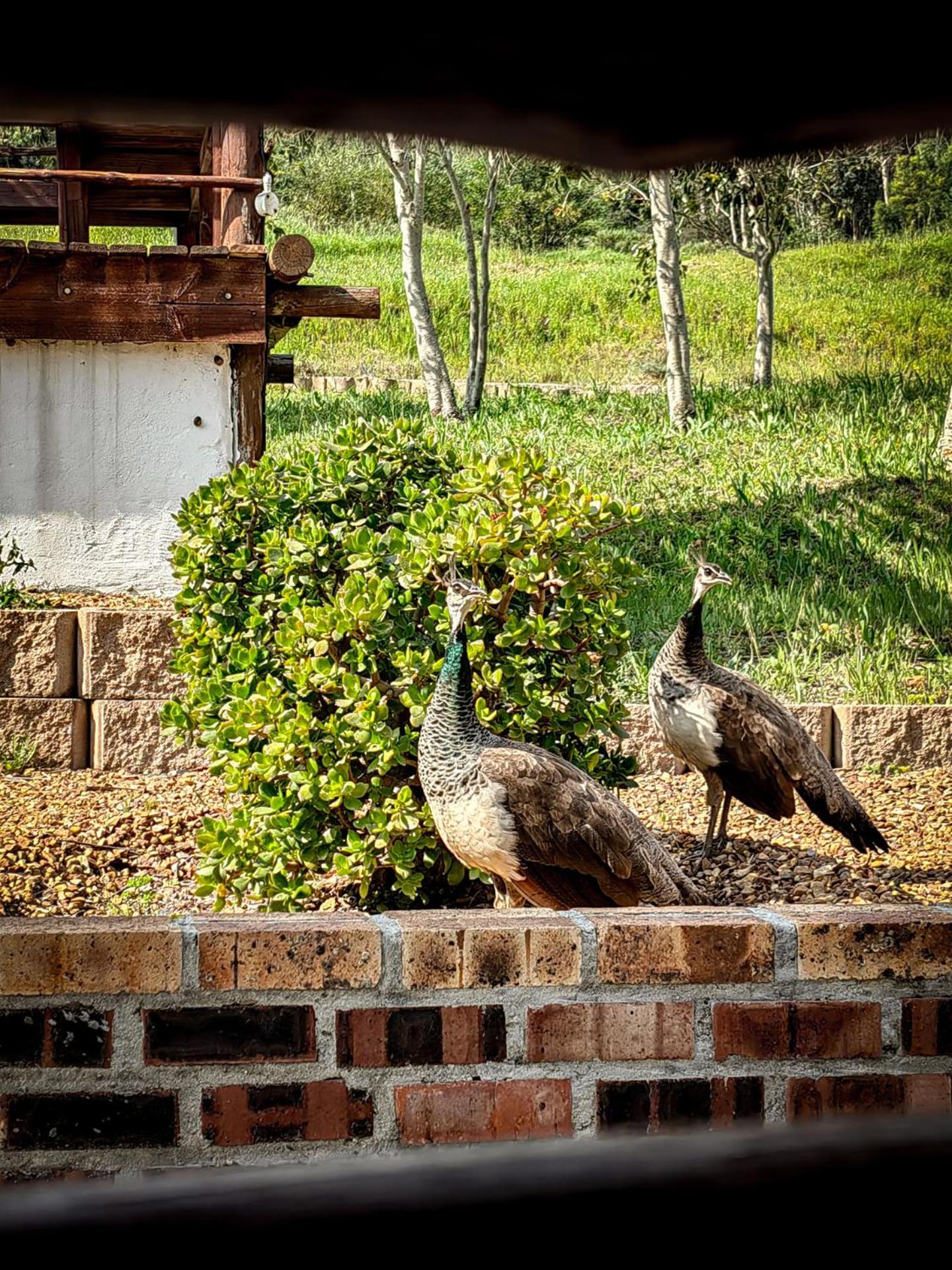 Capelands Wine Farm & Guesthouse