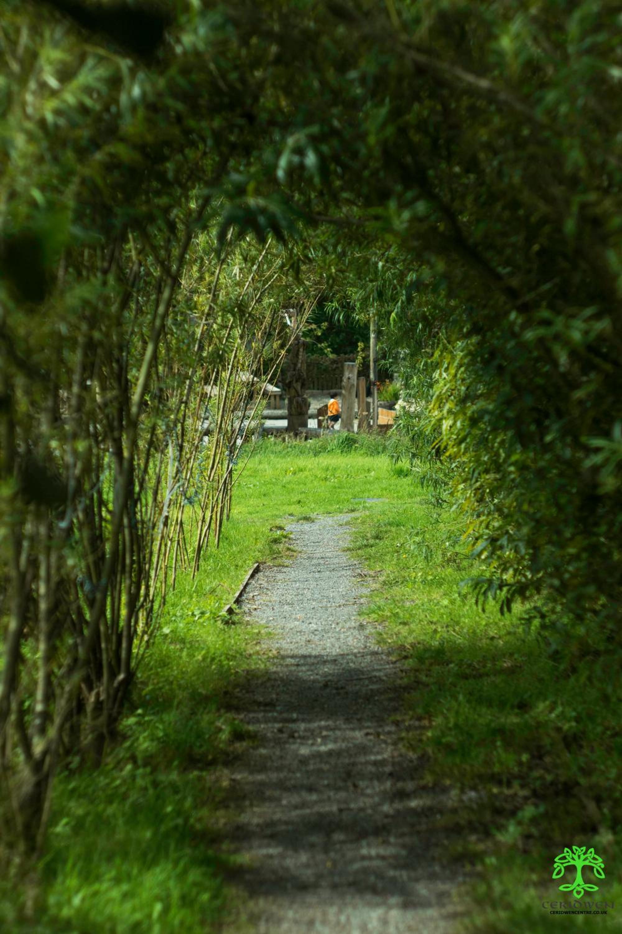 Ceridwen Glamping, double decker bus and Yurts