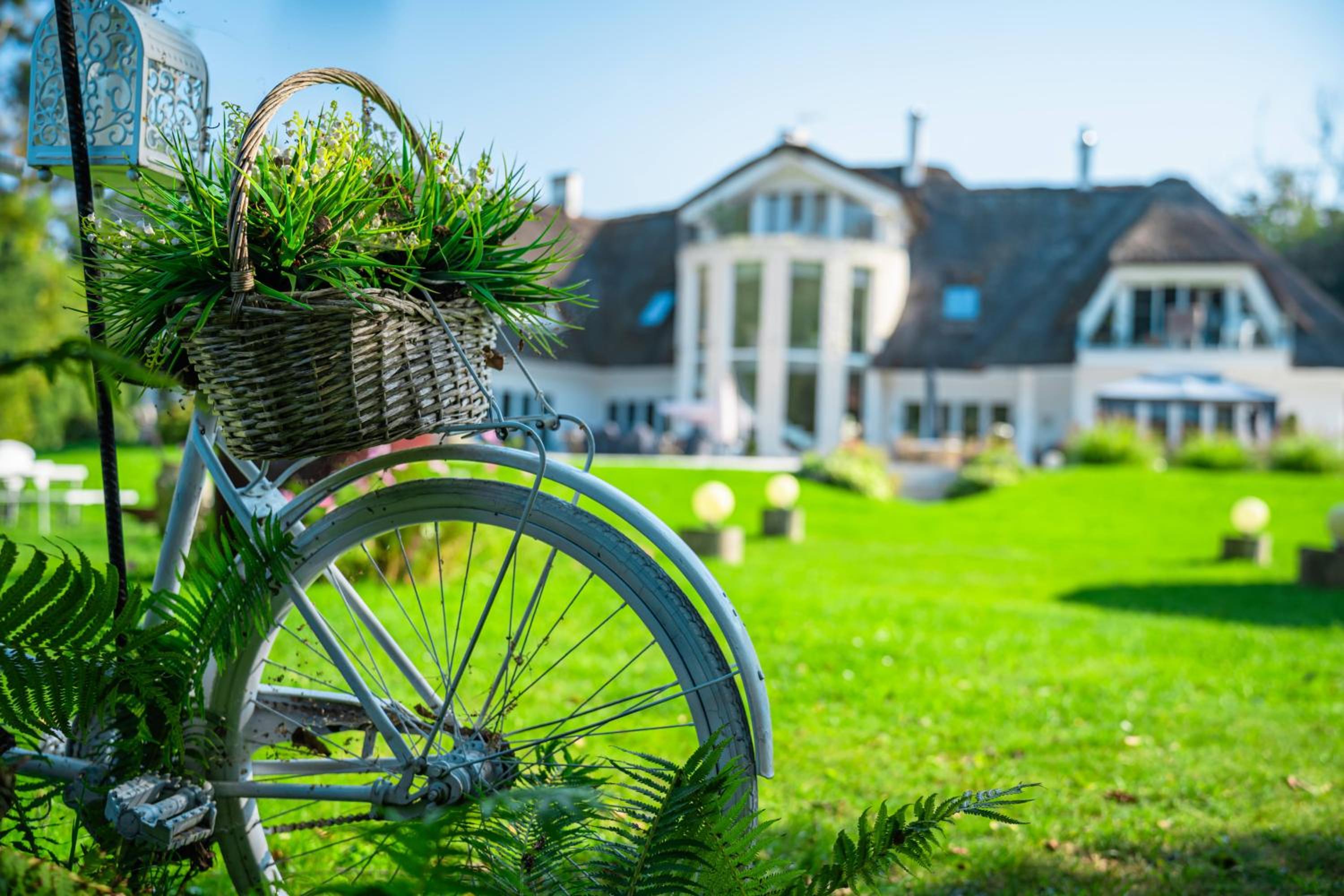 Photo 98