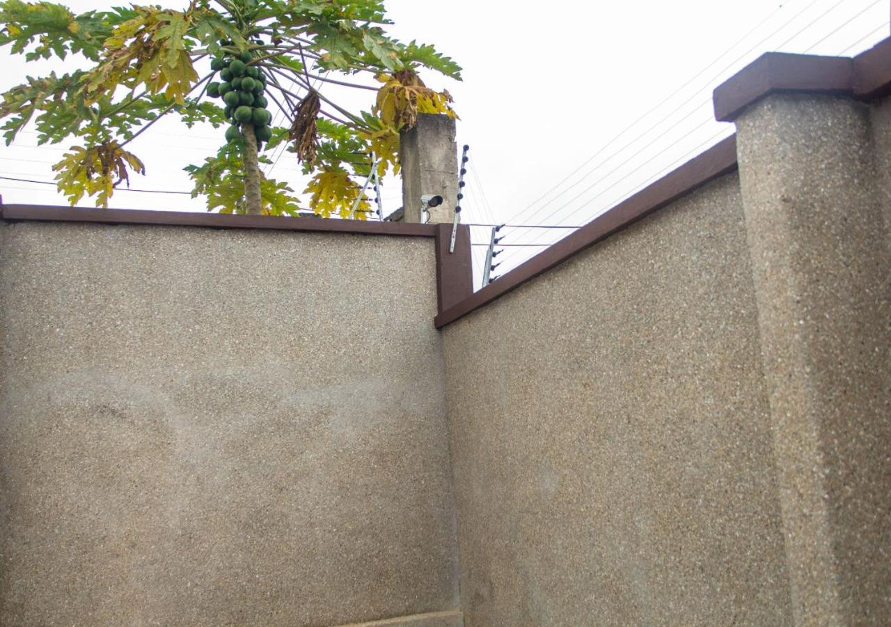 Tranquil Home Rentals