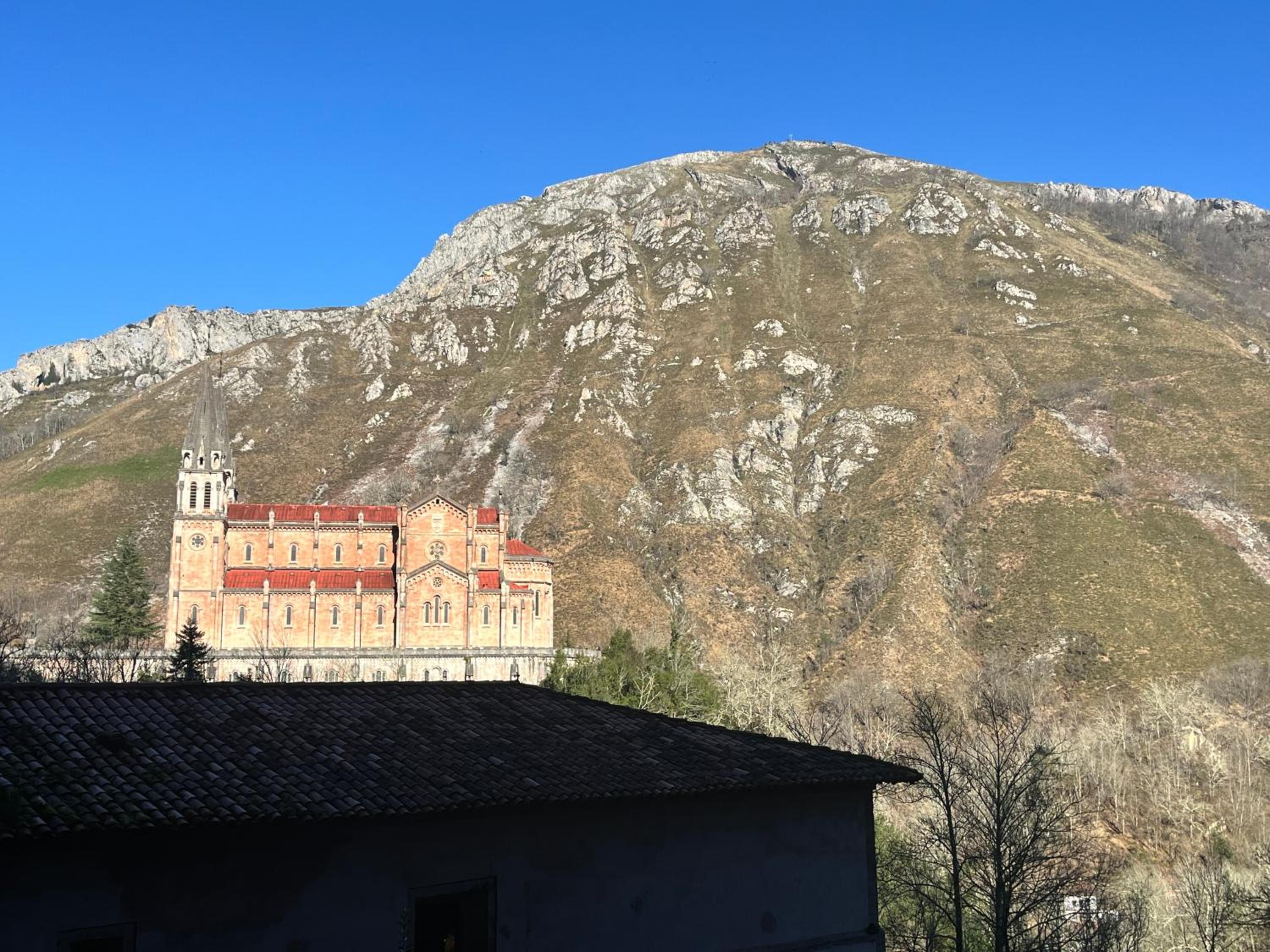 Photo 26