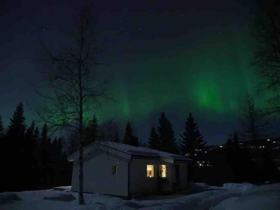 Cozy cabin in peaceful surroundings view 5