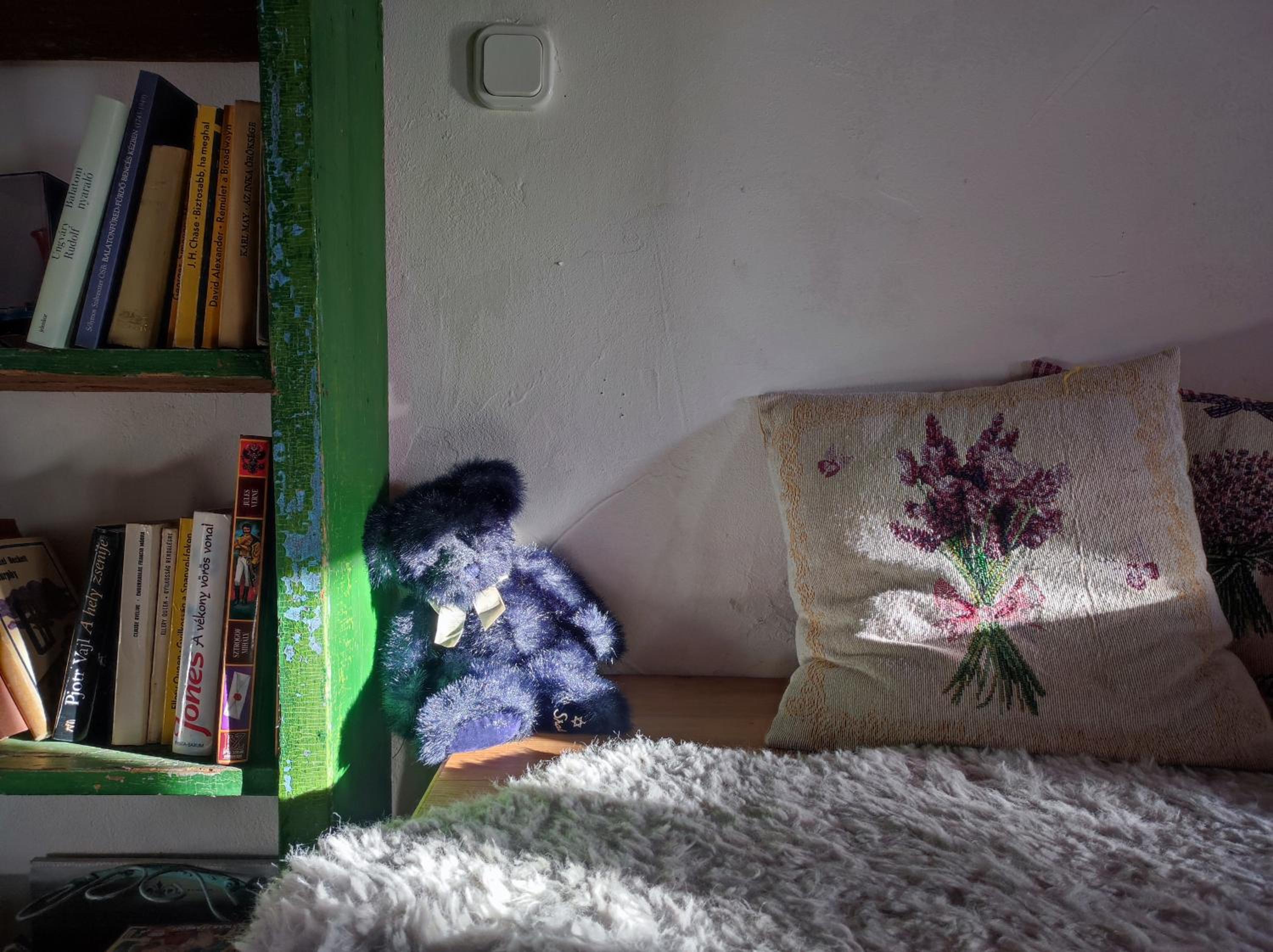 Photo 27