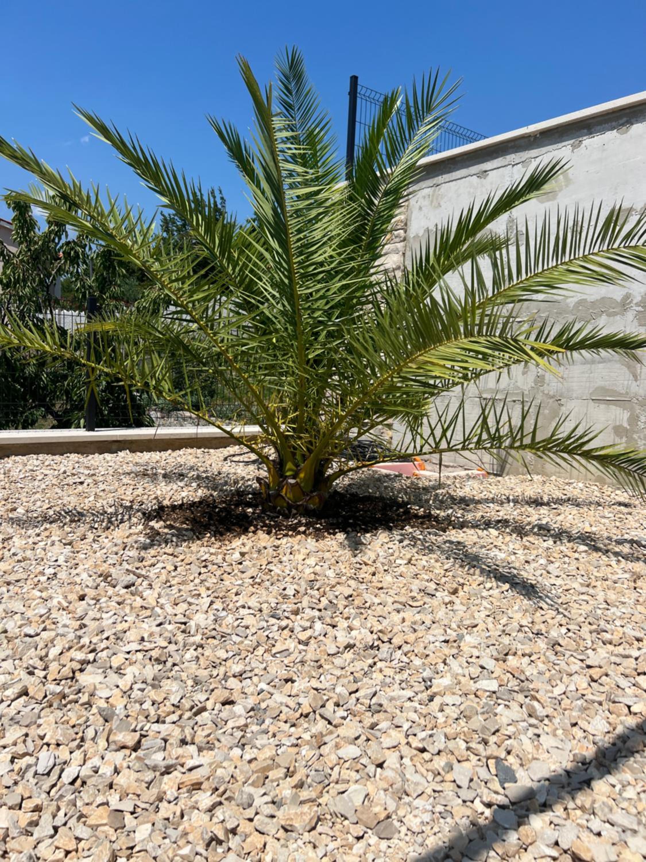 Brisa Wellness Apartments - clothing optional, DFK, FKK in may, june, september