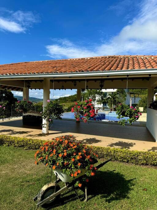 Casa Irlanda LK
