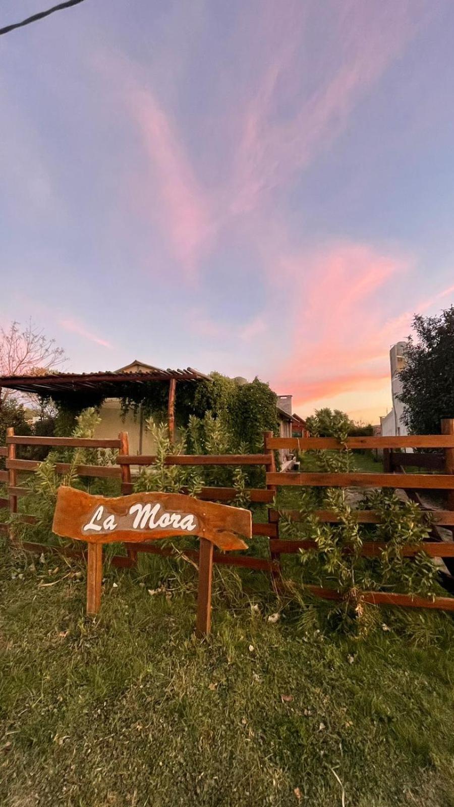 La Mora Cabañas