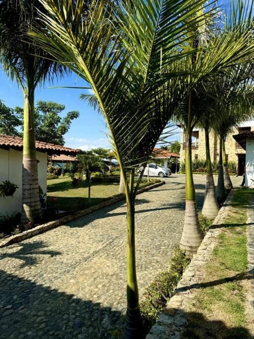 Casa Irlanda LK