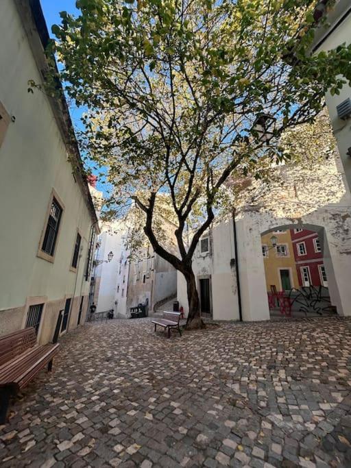 Alfama studio facing riverside front view 5