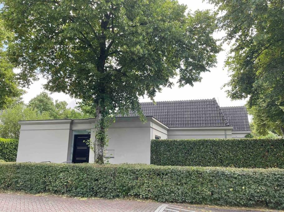 Luxury semi-detached house near Amsterdam