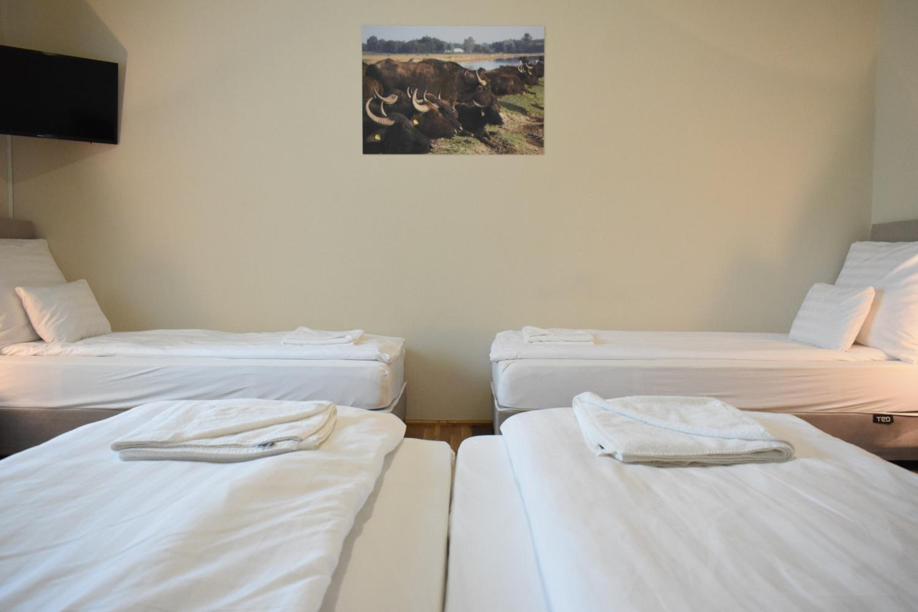 Nosztalgia kemping és apartman