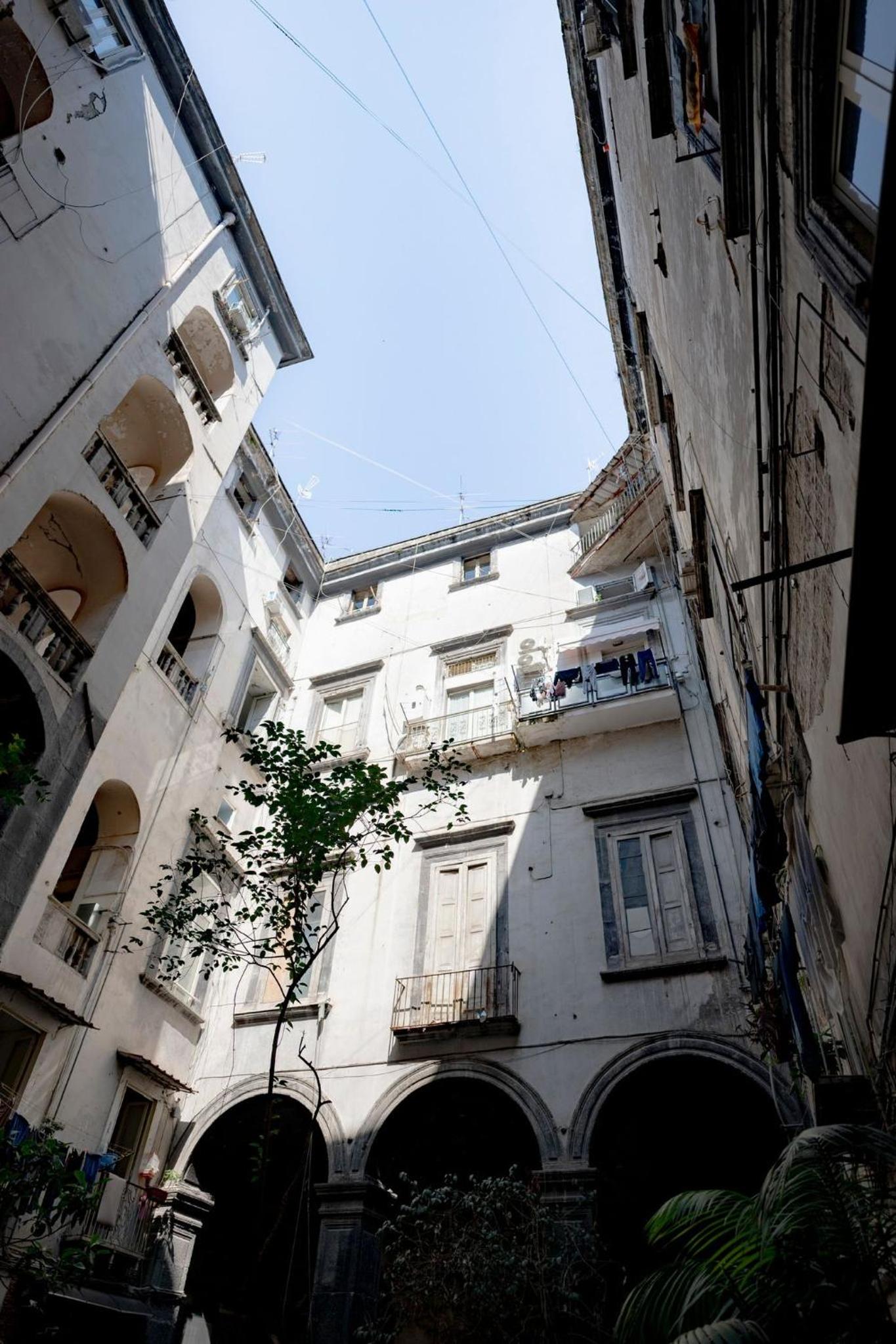 La casa sull'albero