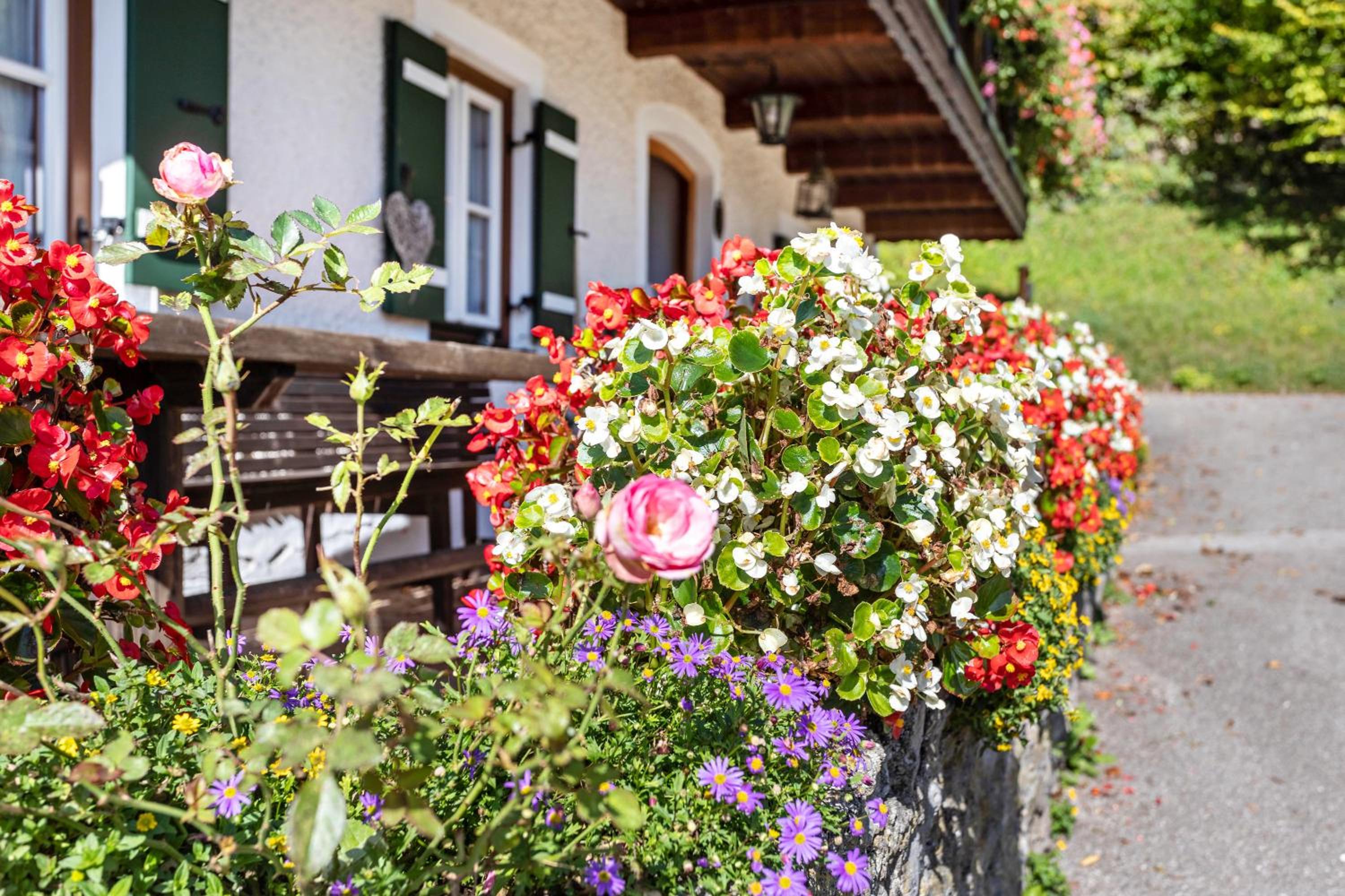 Ferienwohnung Edelweiß